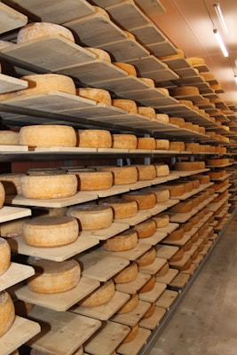 Rows of cheese wheels are neatly arranged on wooden shelves inside a storage or aging room. The shelves are stacked from floor to ceiling, and the room is well-lit with fluorescent lights.