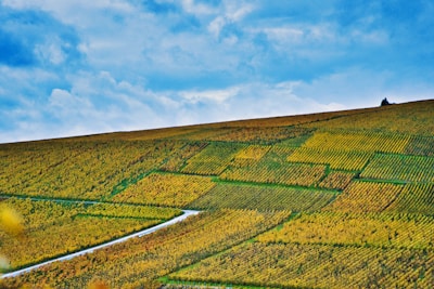 a grassy hill with a river running through it