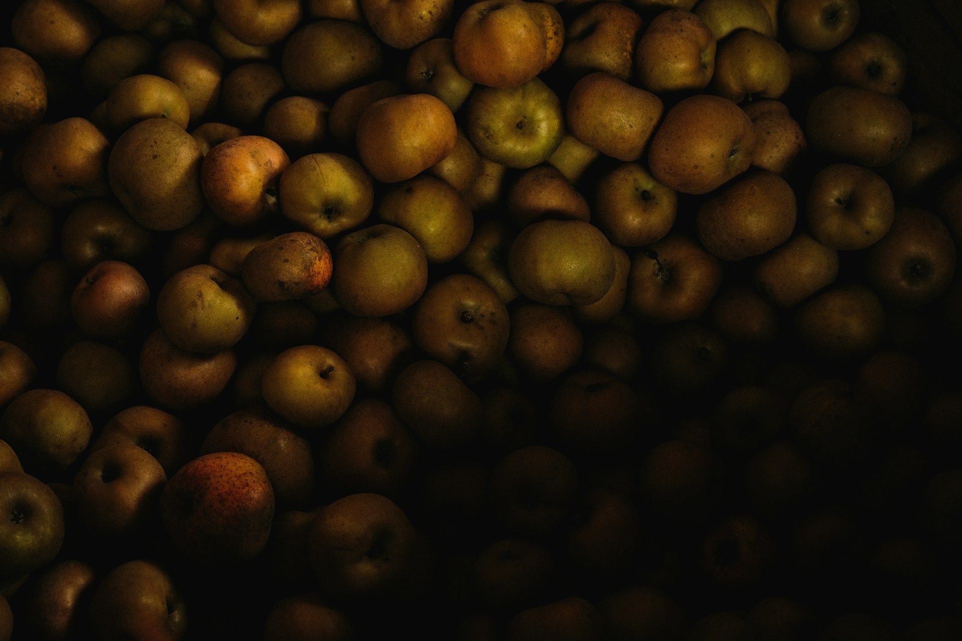 a pile of apples sitting next to each other