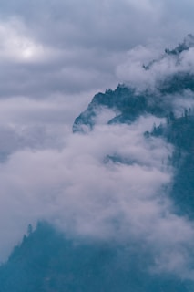 A misty Himalayan trail winding through towering pine trees at dawn