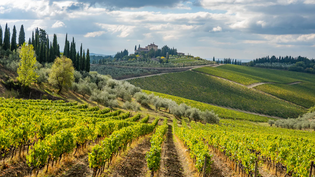 Chianti Classico