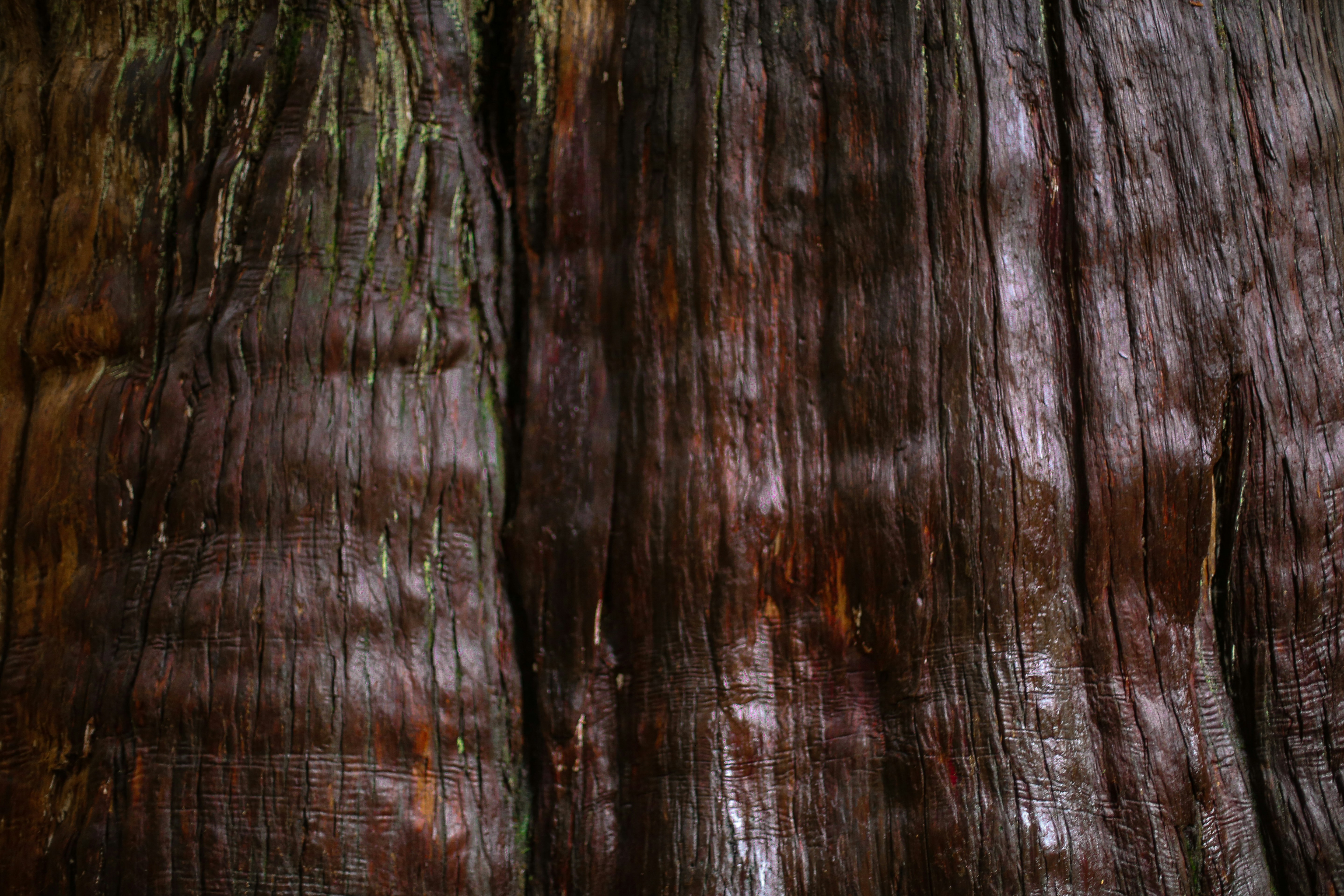 Photo by desirae_hayesvitor