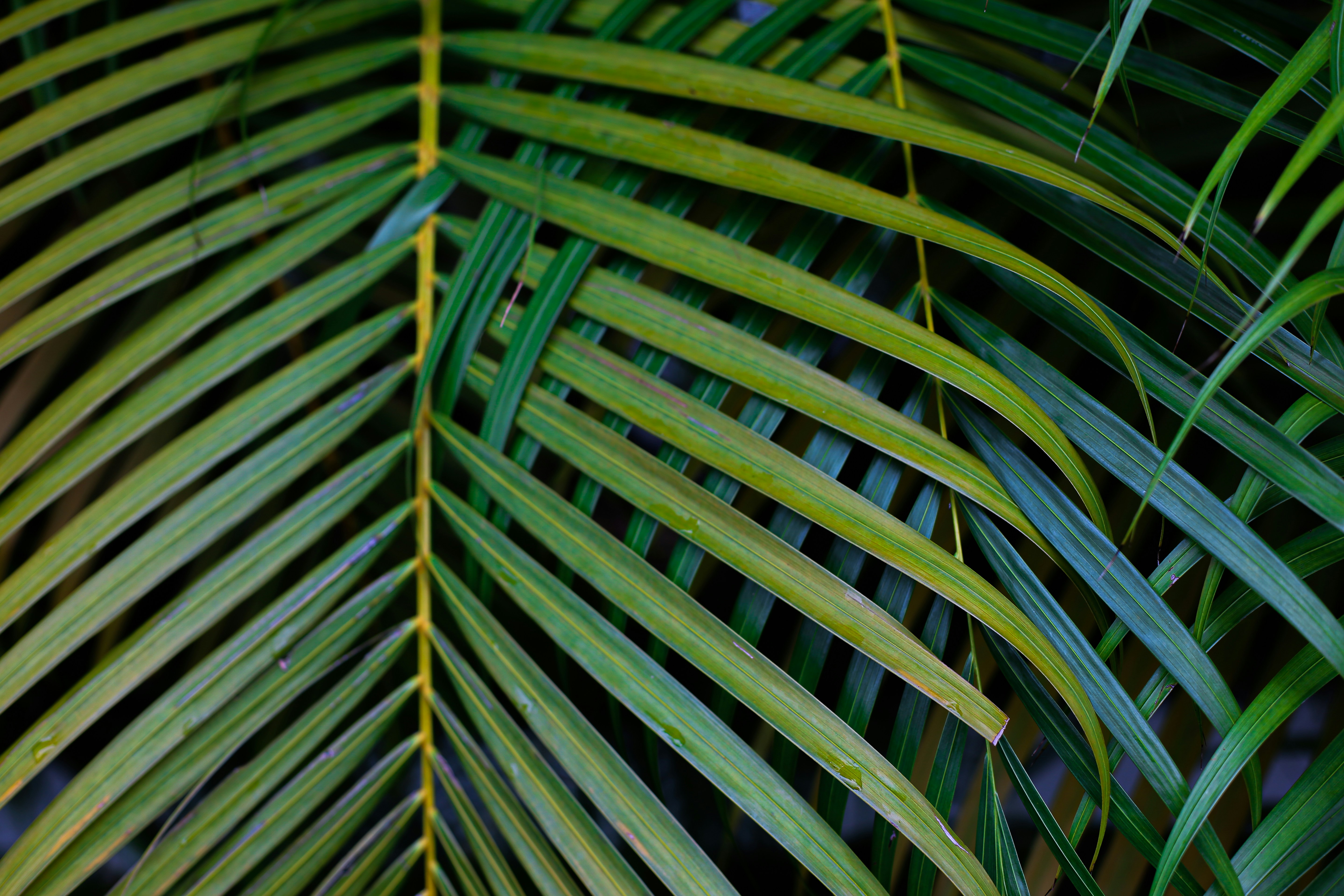 Photo by desirae_hayesvitor