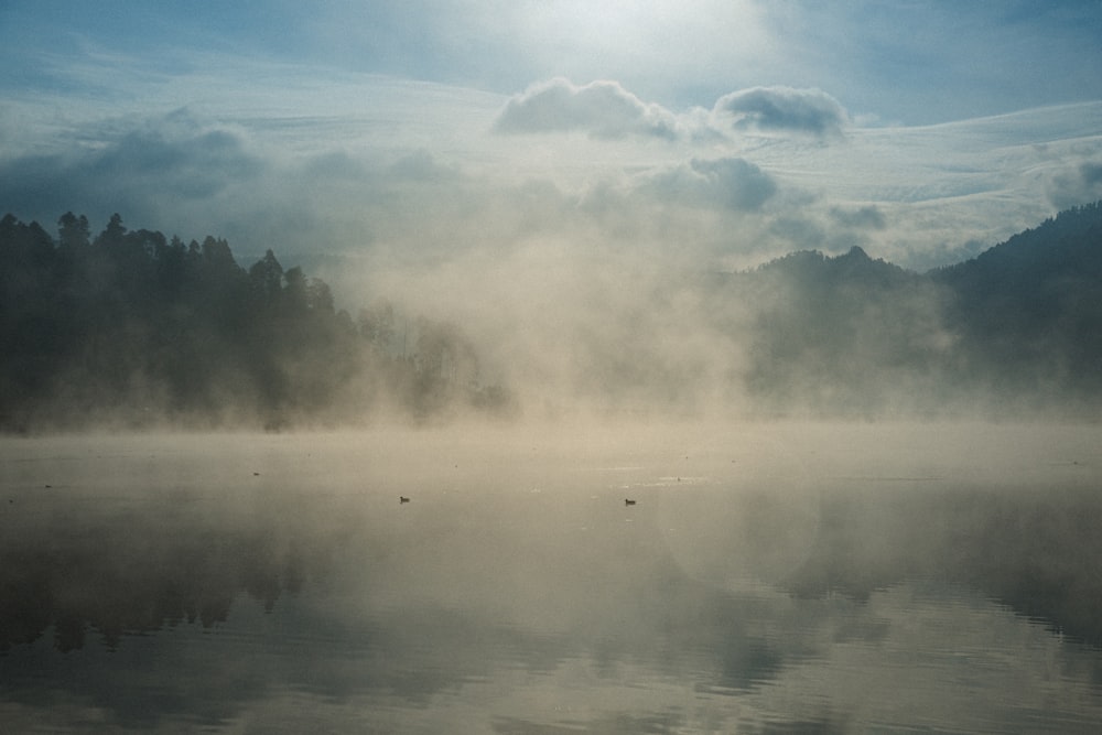 a body of water surrounded by fog and trees