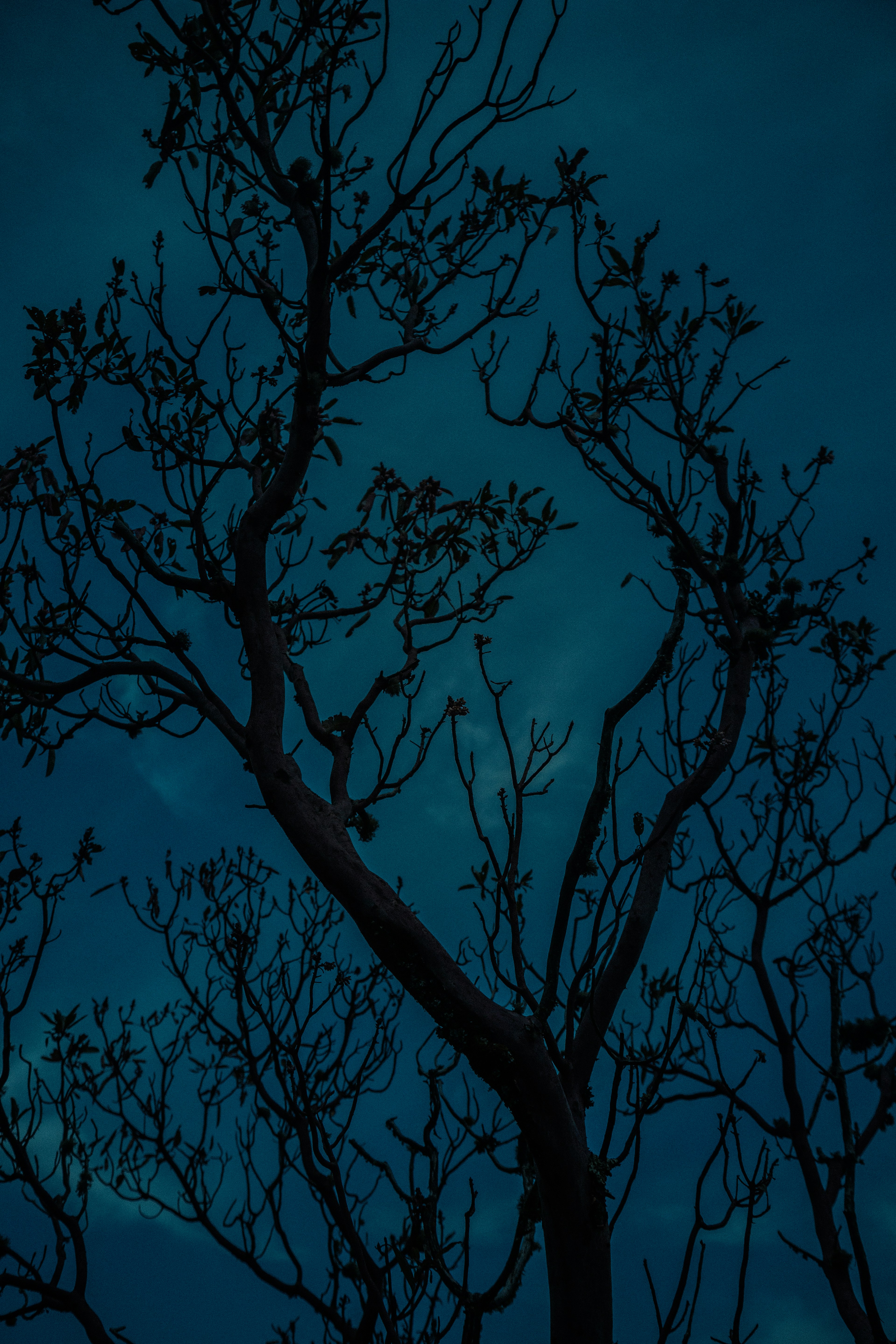 Photo by heeymynameisalex