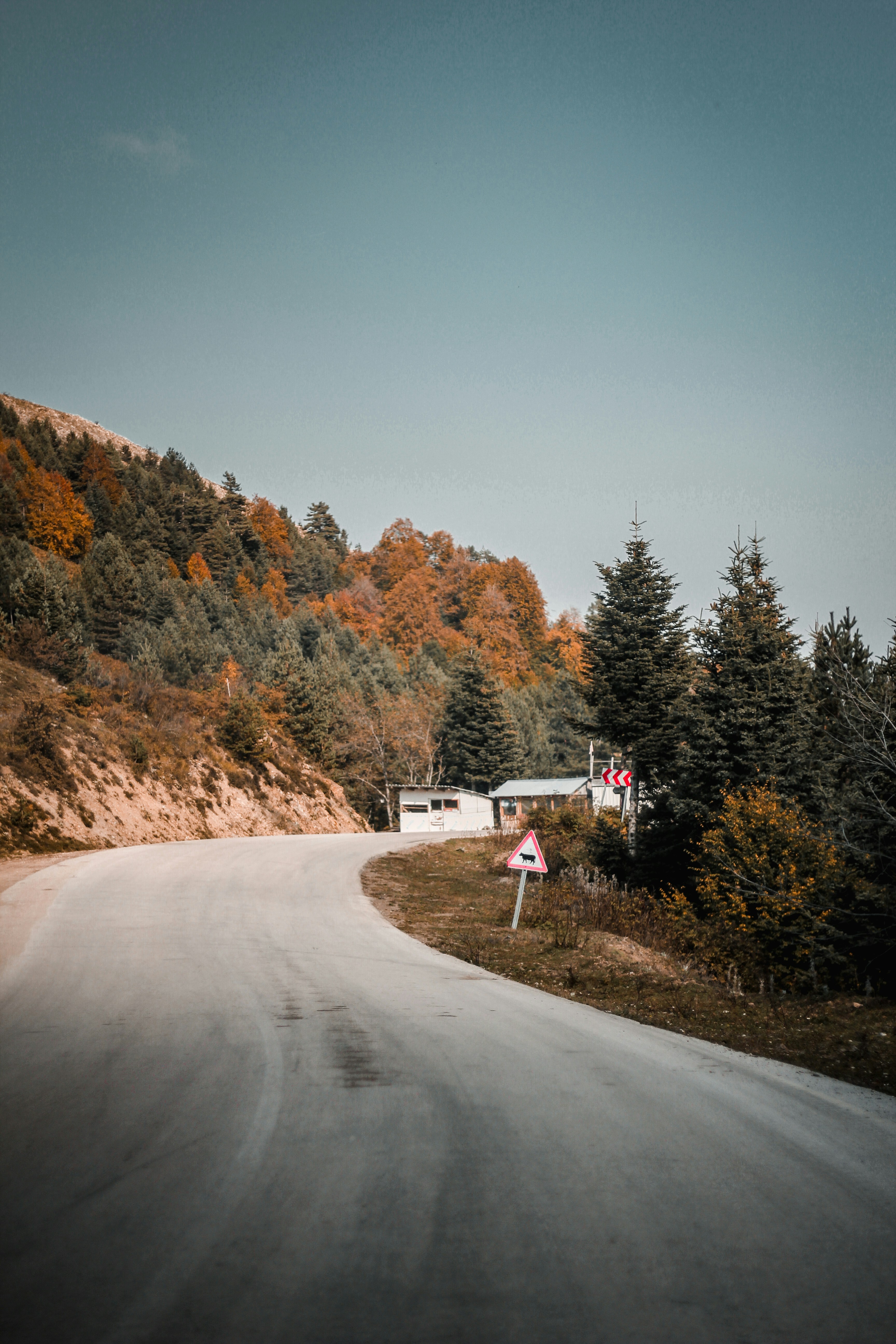 Photo by zeynepmervs