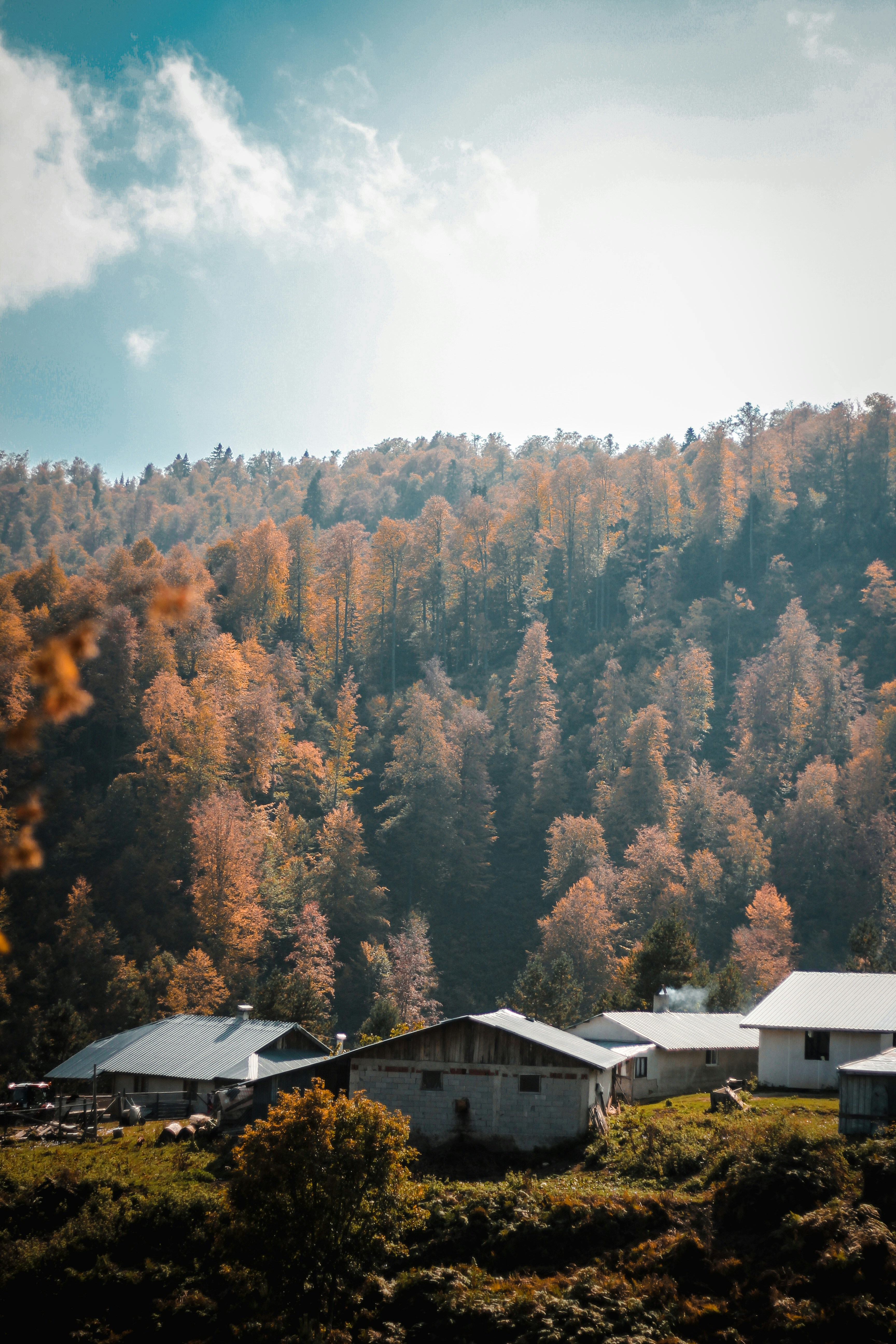 Photo by zeynepmervs