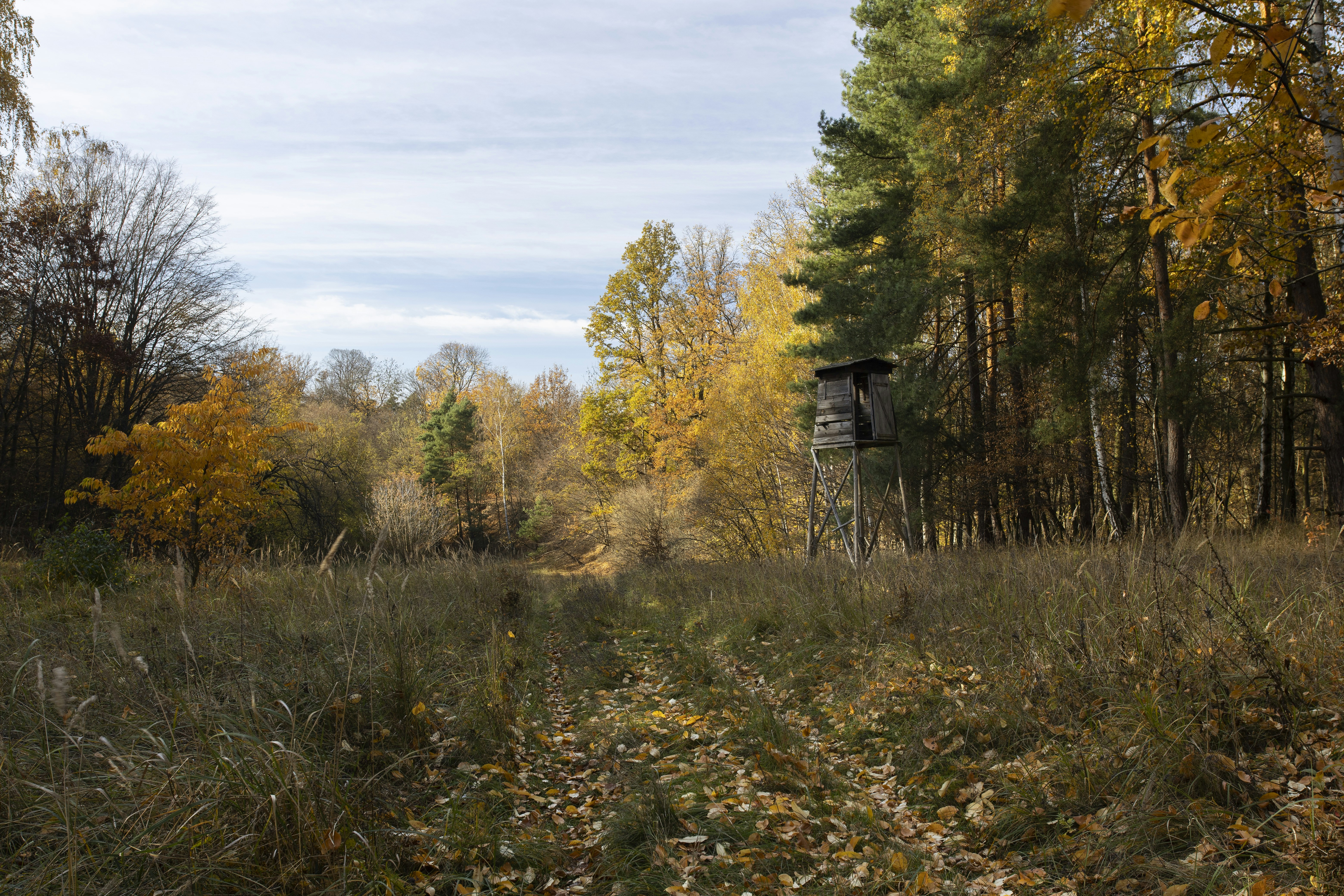 Photo by victor_vector