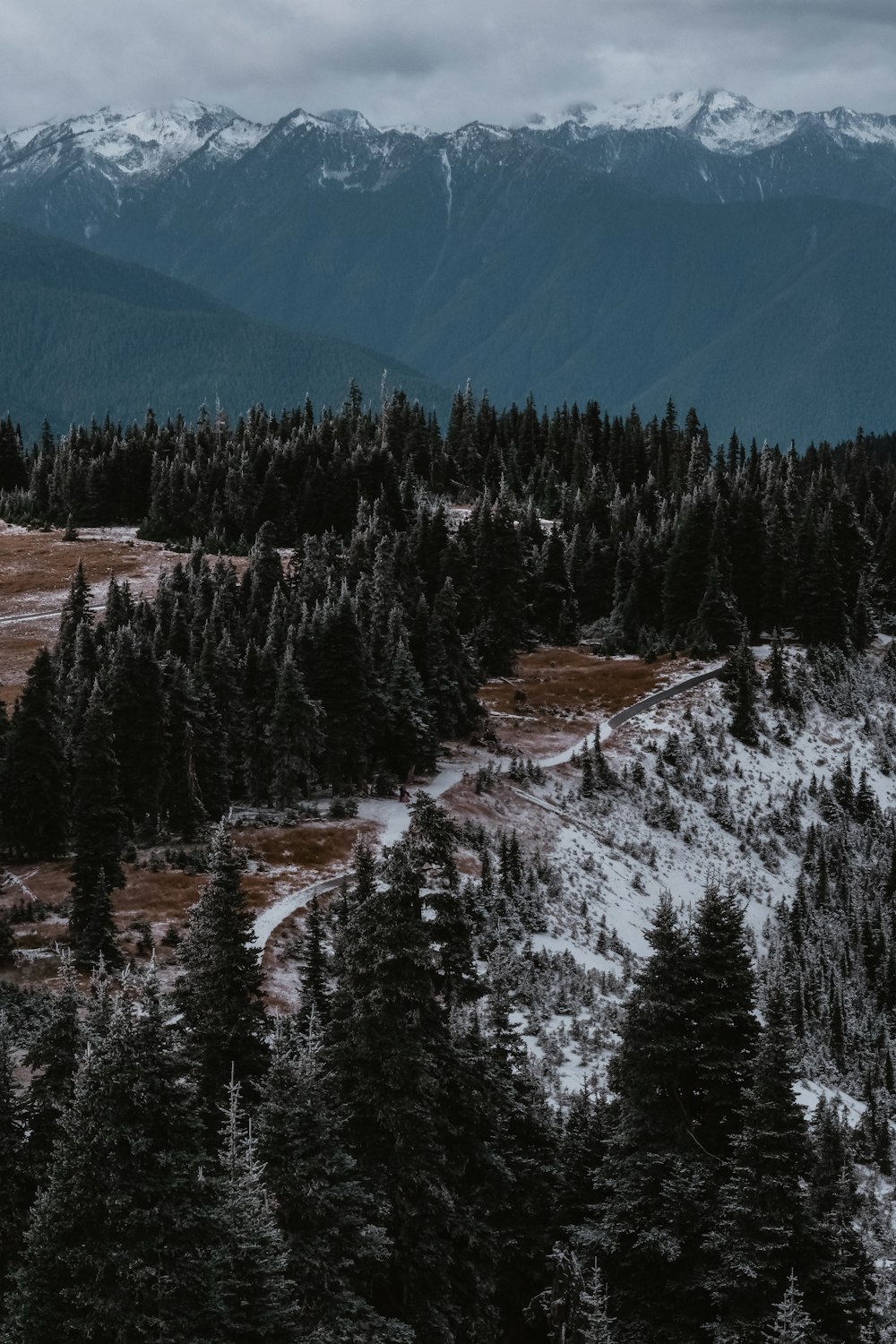 a view of a mountain range with trees in the foreground