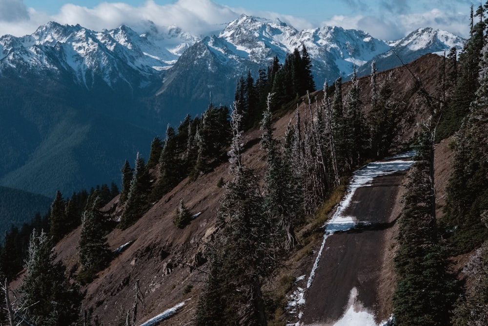 a view of a snowy mountain range with trees on the side