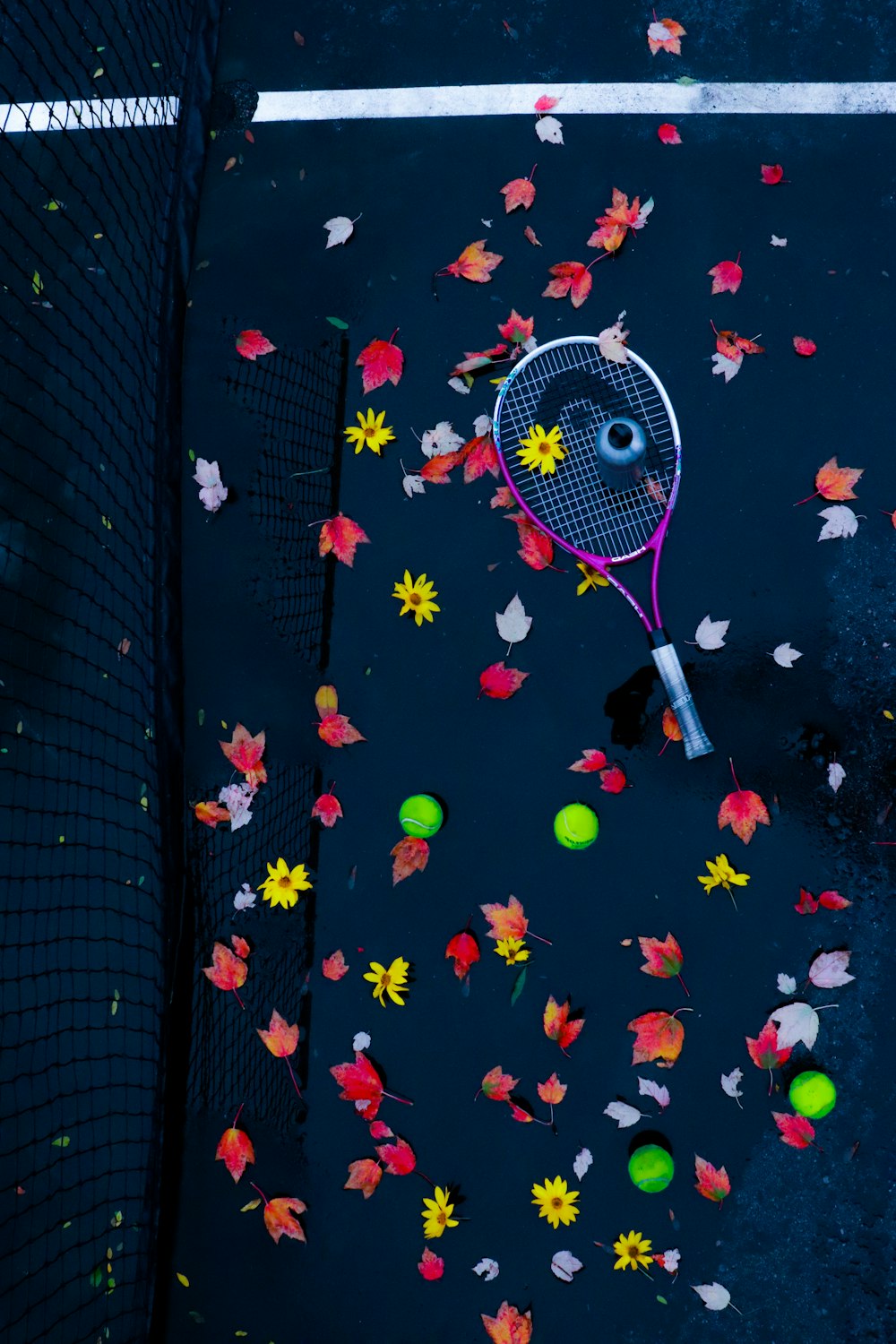 a tennis racket and balls on a tennis court