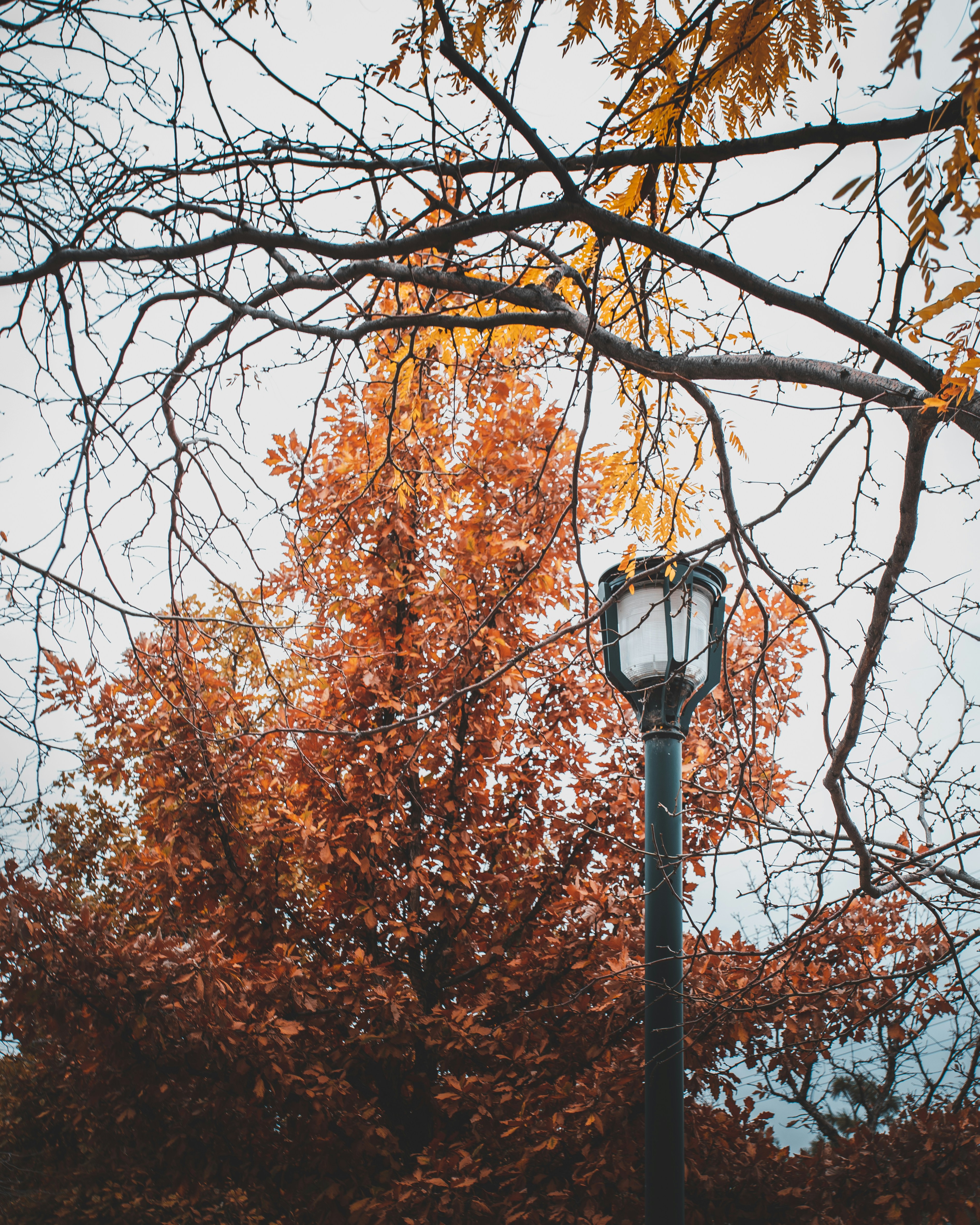 Photo by photosoflogan