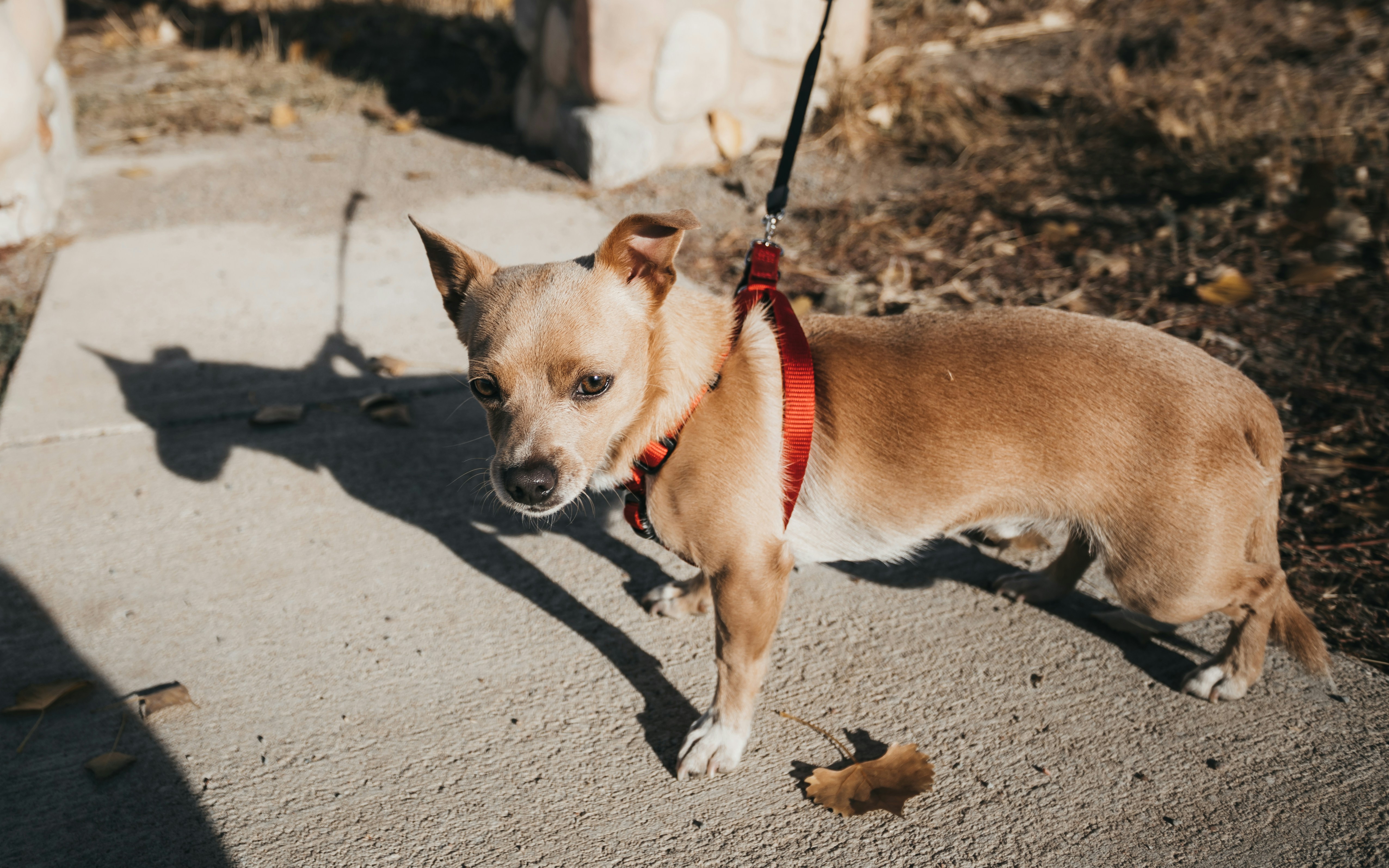 Photo by photosoflogan