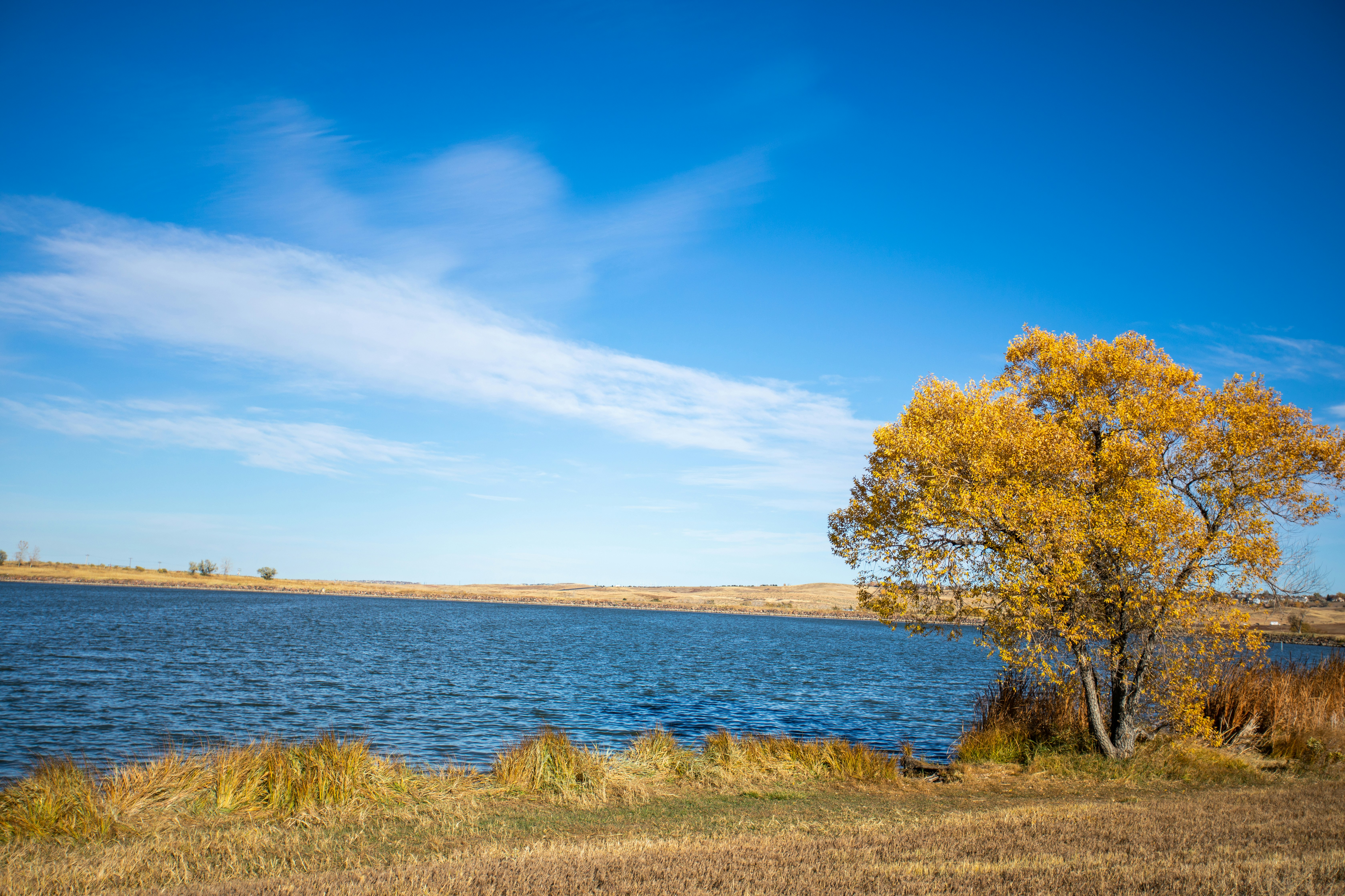 Photo by photosoflogan