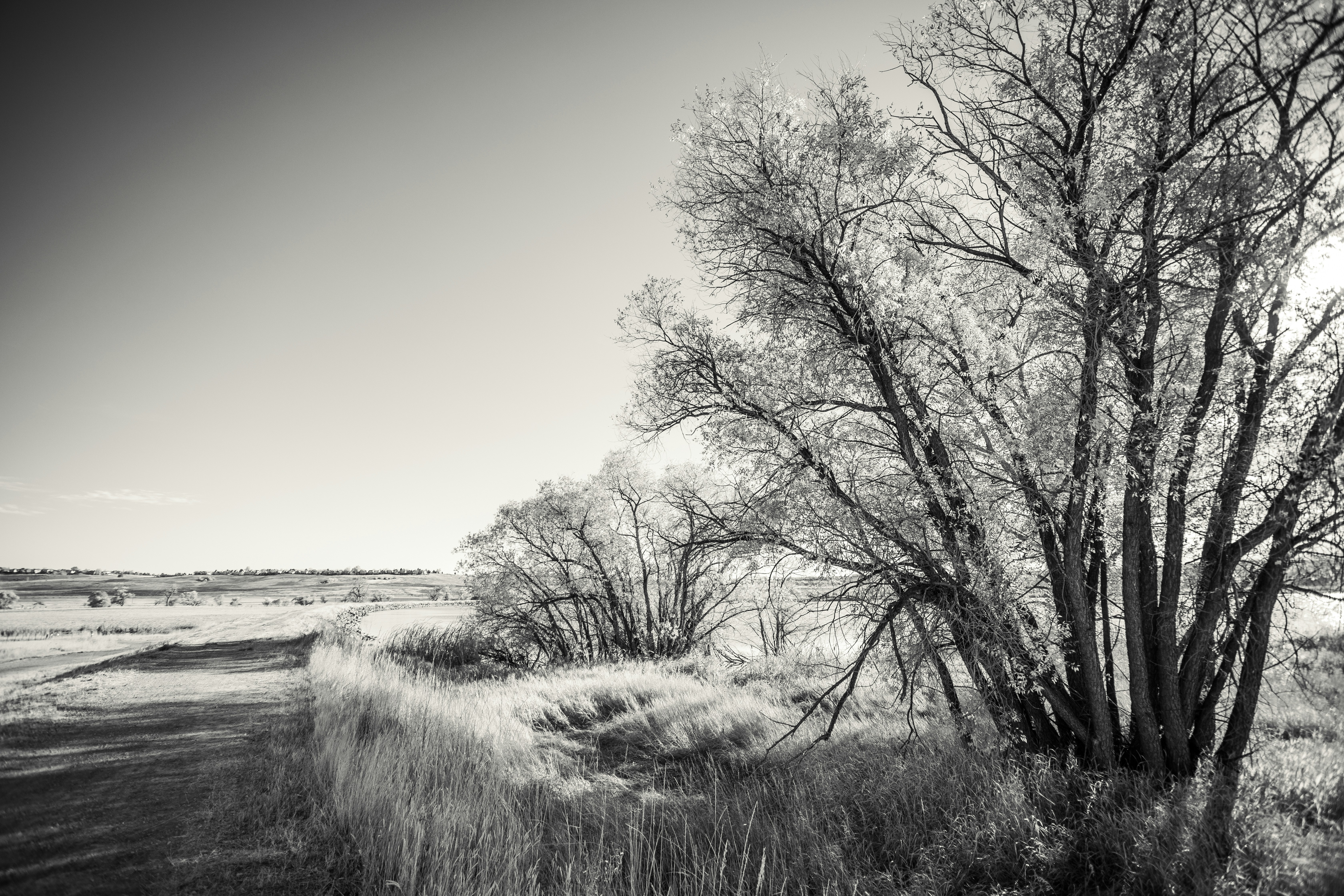 Photo by photosoflogan