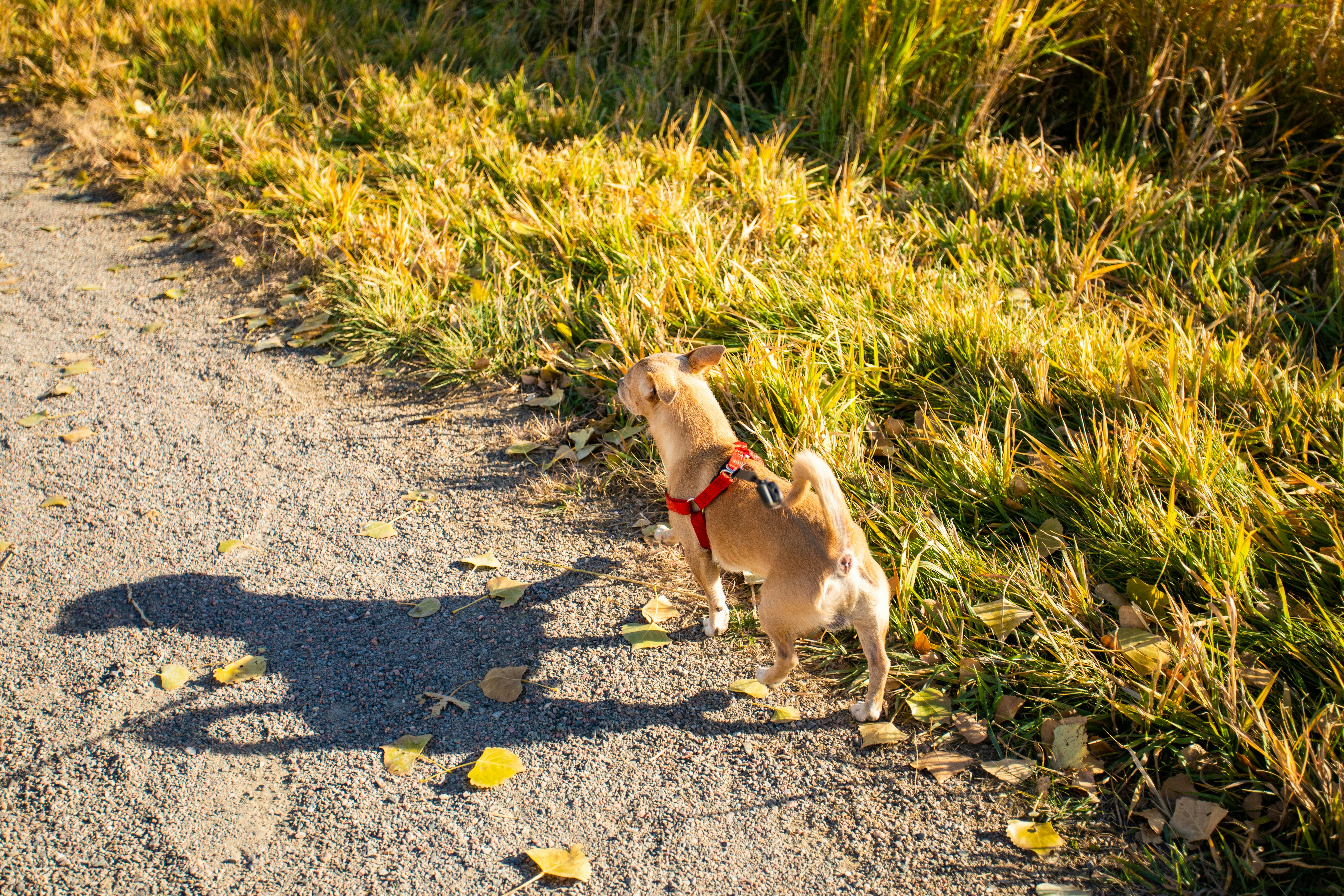 Photo by photosoflogan