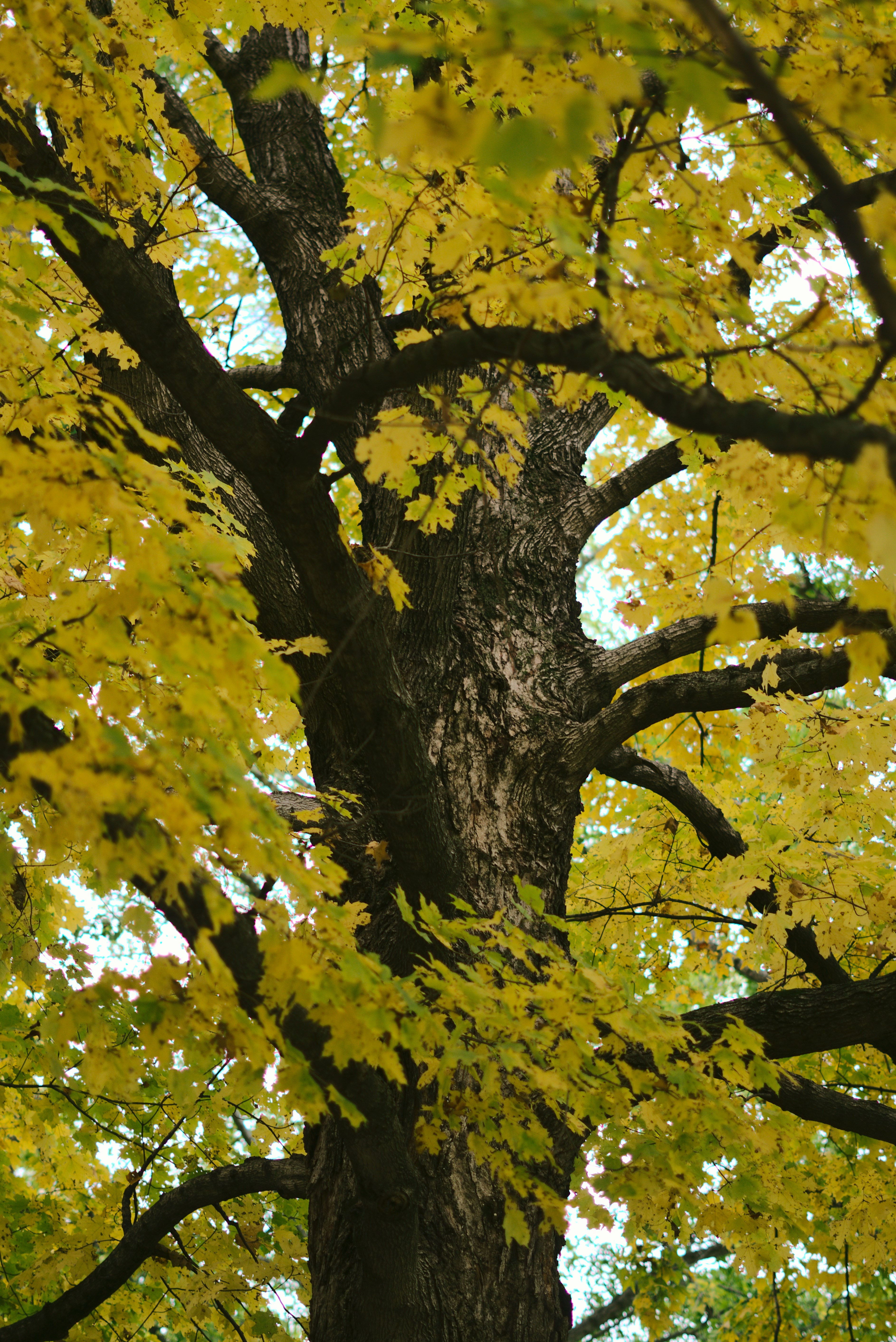 Photo by mrgreatheart