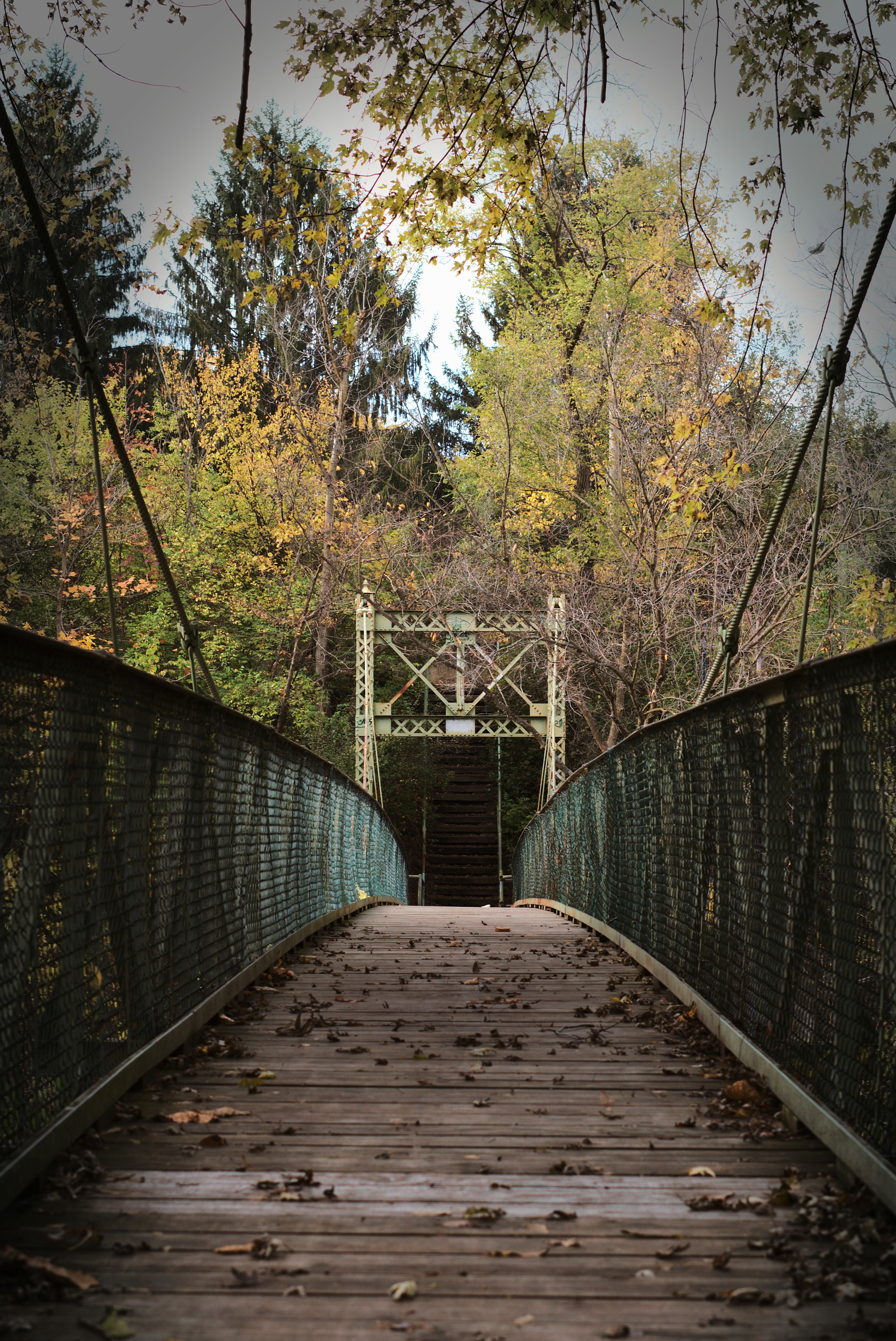 Photo by mrgreatheart