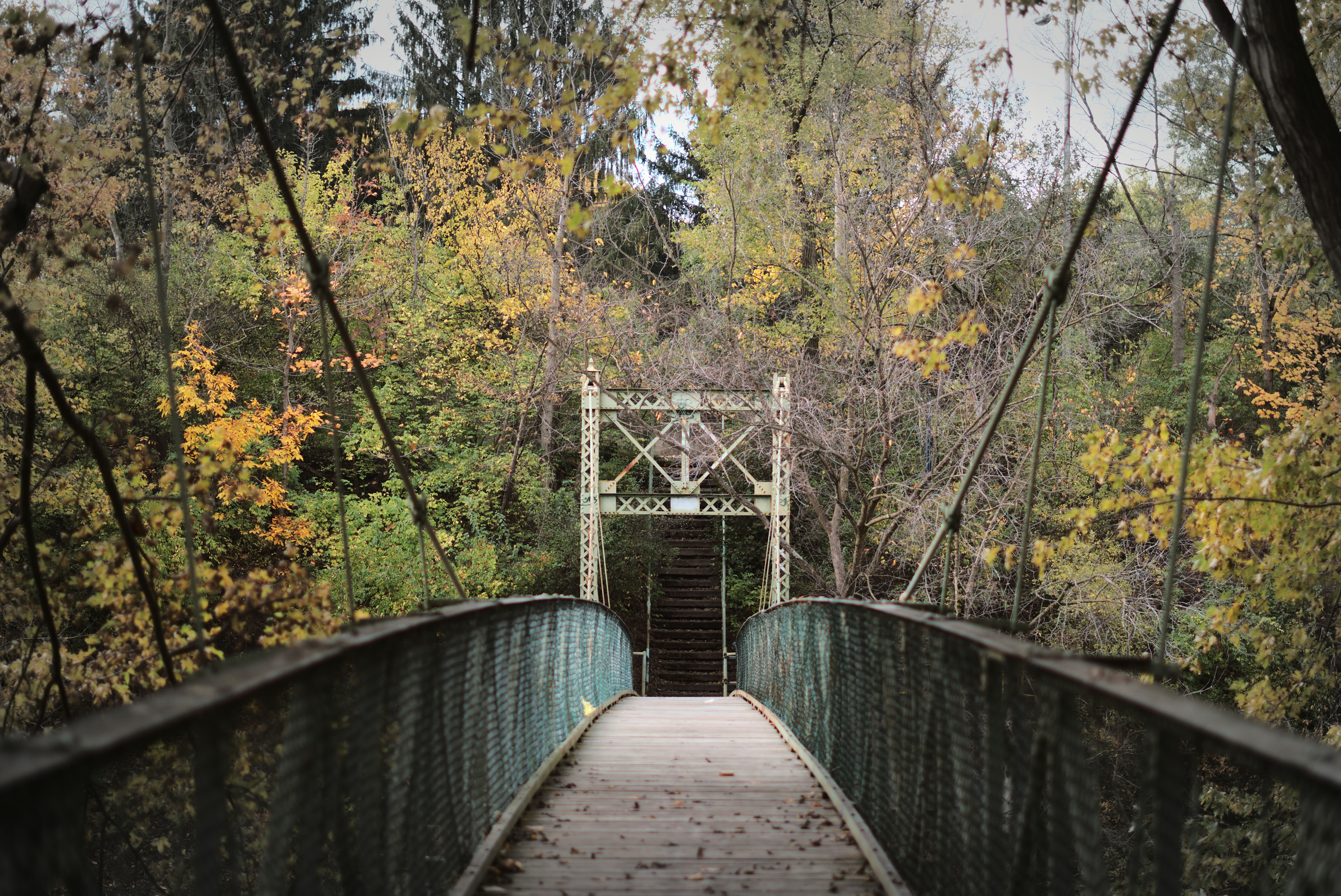 Photo by mrgreatheart