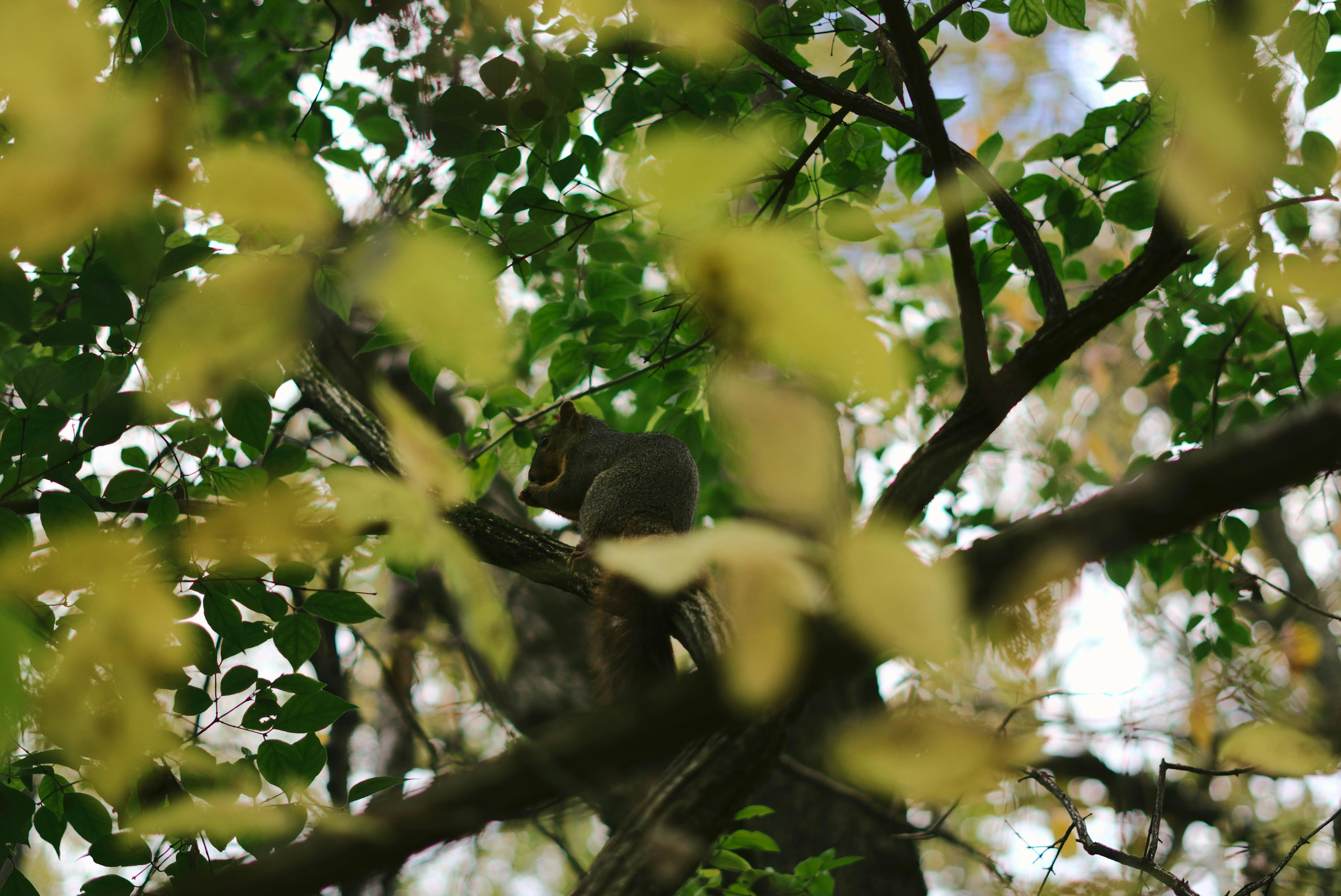 Photo by mrgreatheart