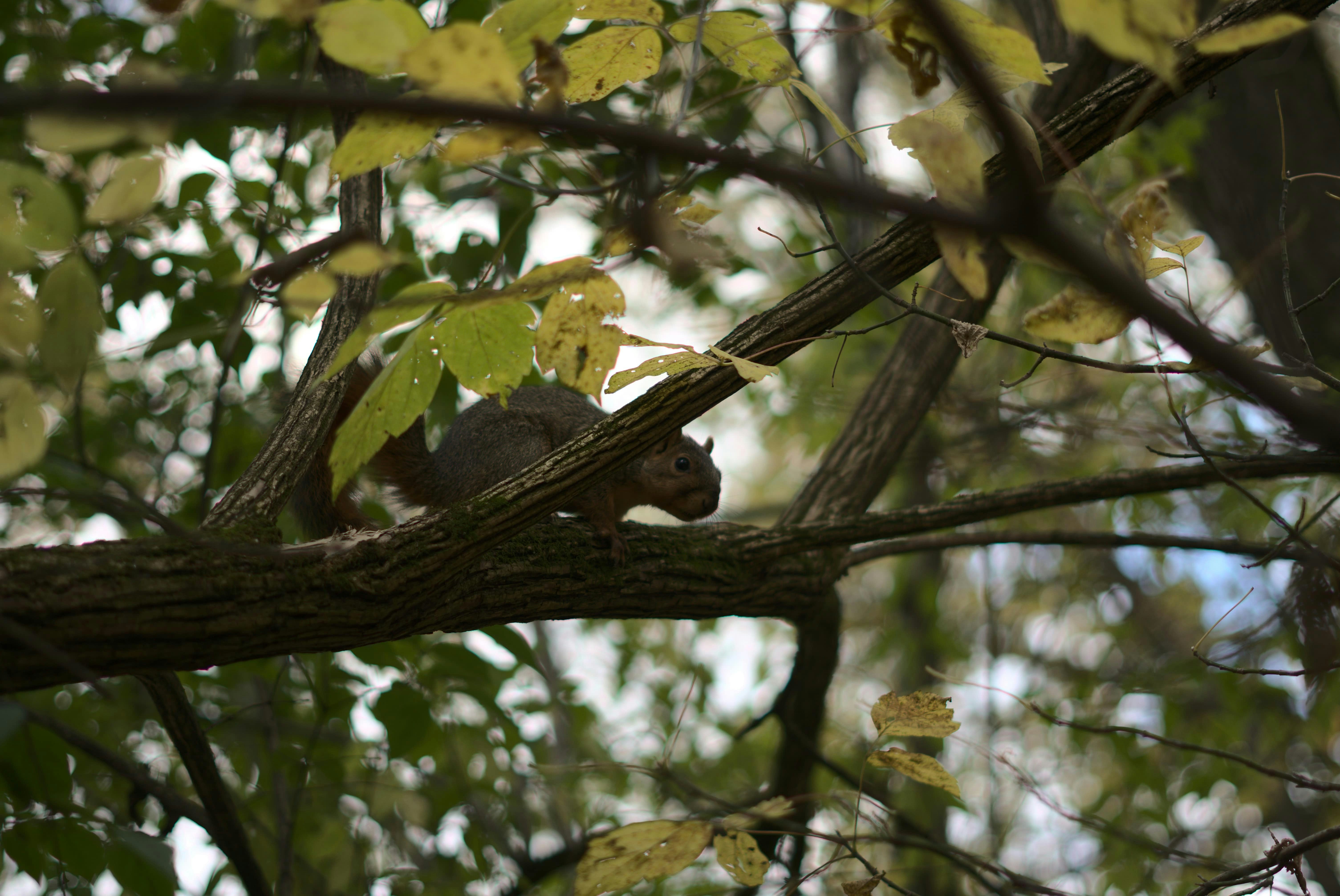 Photo by mrgreatheart