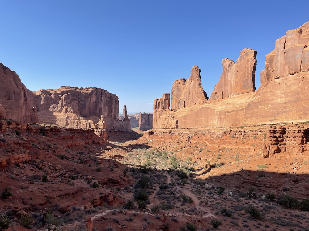 a canyon in the middle of a desert