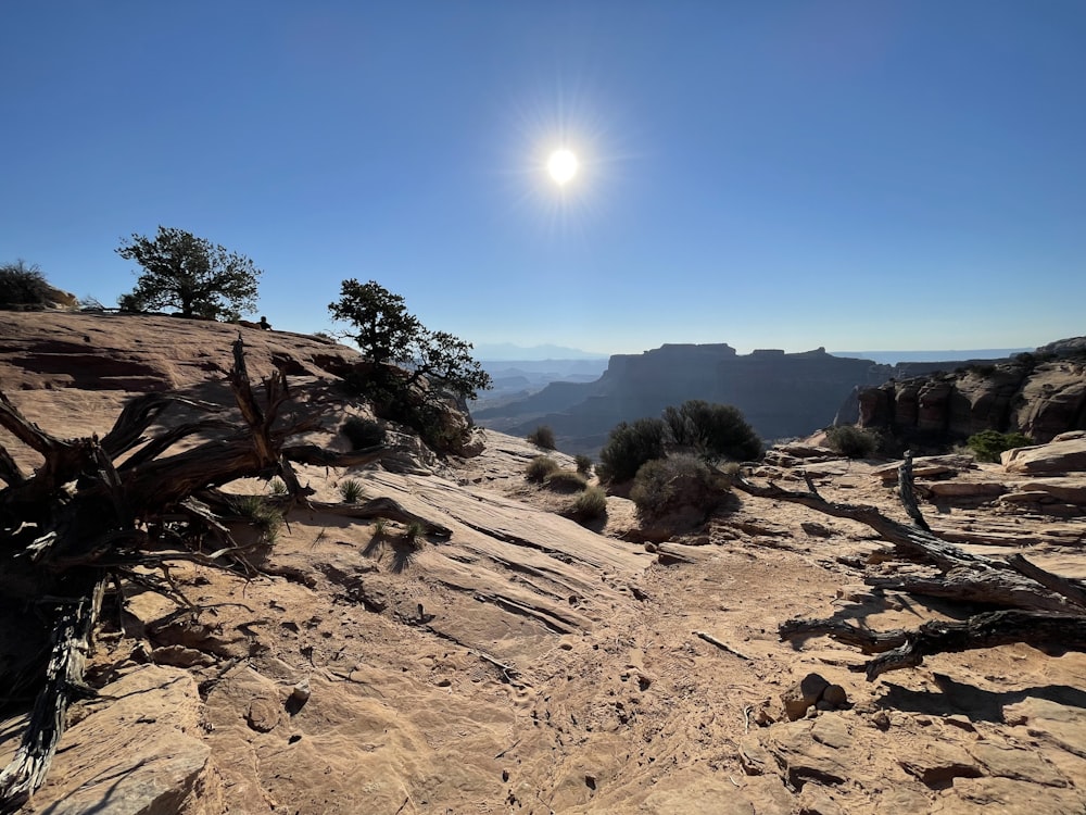 o sol está brilhando sobre uma paisagem rochosa