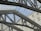 Intricate metal beams and trusses crisscross beneath a glass roof, creating geometric patterns. The transparent ceiling allows natural light to filter through, enhancing the modern architectural design. The steel framework exhibits industrial strength and complexity.