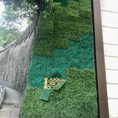 A vertical garden wall covered with patches of various shades of green foliage is featured. The wall is built alongside a stone-paved pathway with a railing. The foliage includes a mix of real and artificial greens arranged in square sections, with a small exposed area revealing a series of cylindrical structures stacked behind it. There is a tree branch hanging over the top portion of the wall.