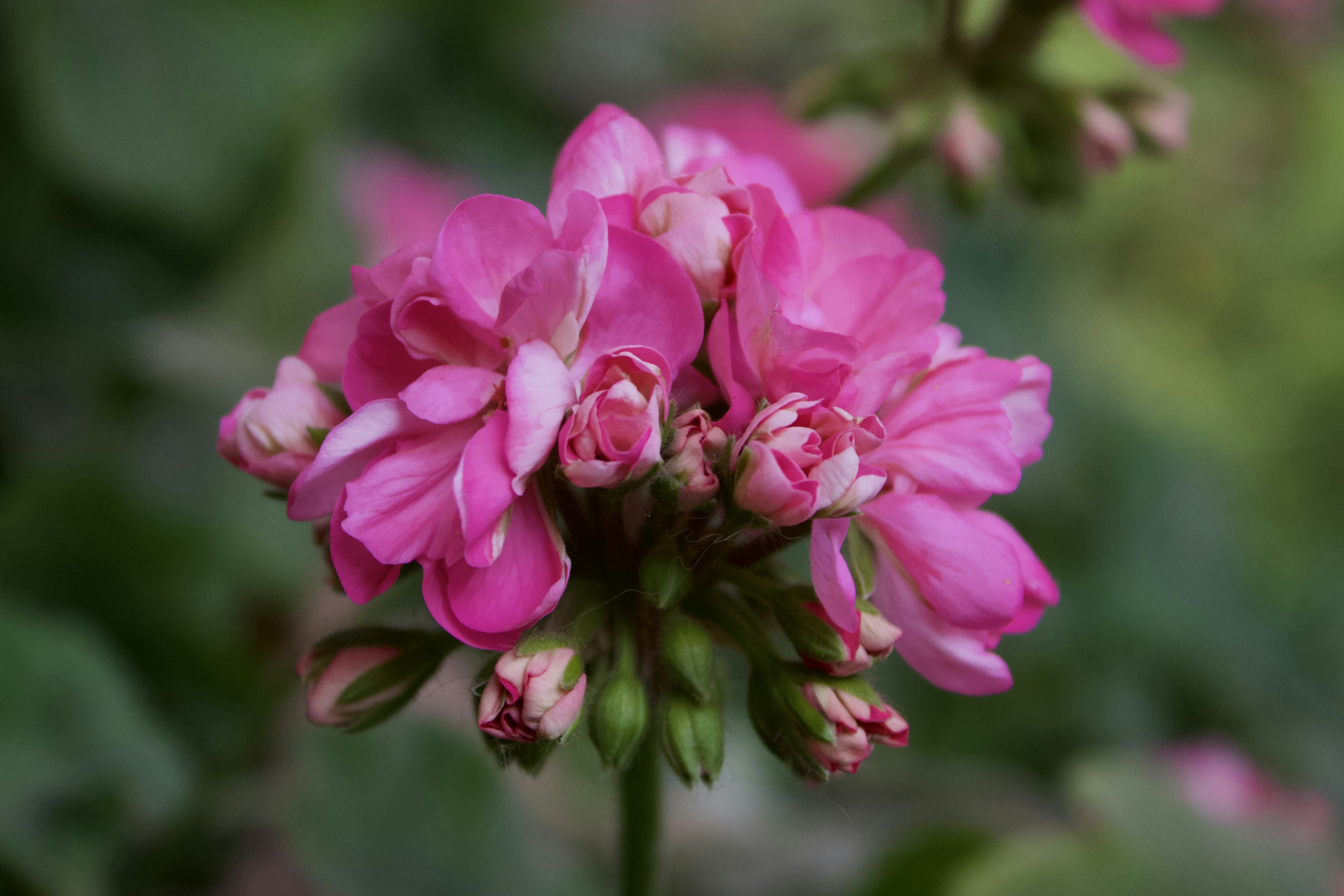 Photo by theskinnyratt