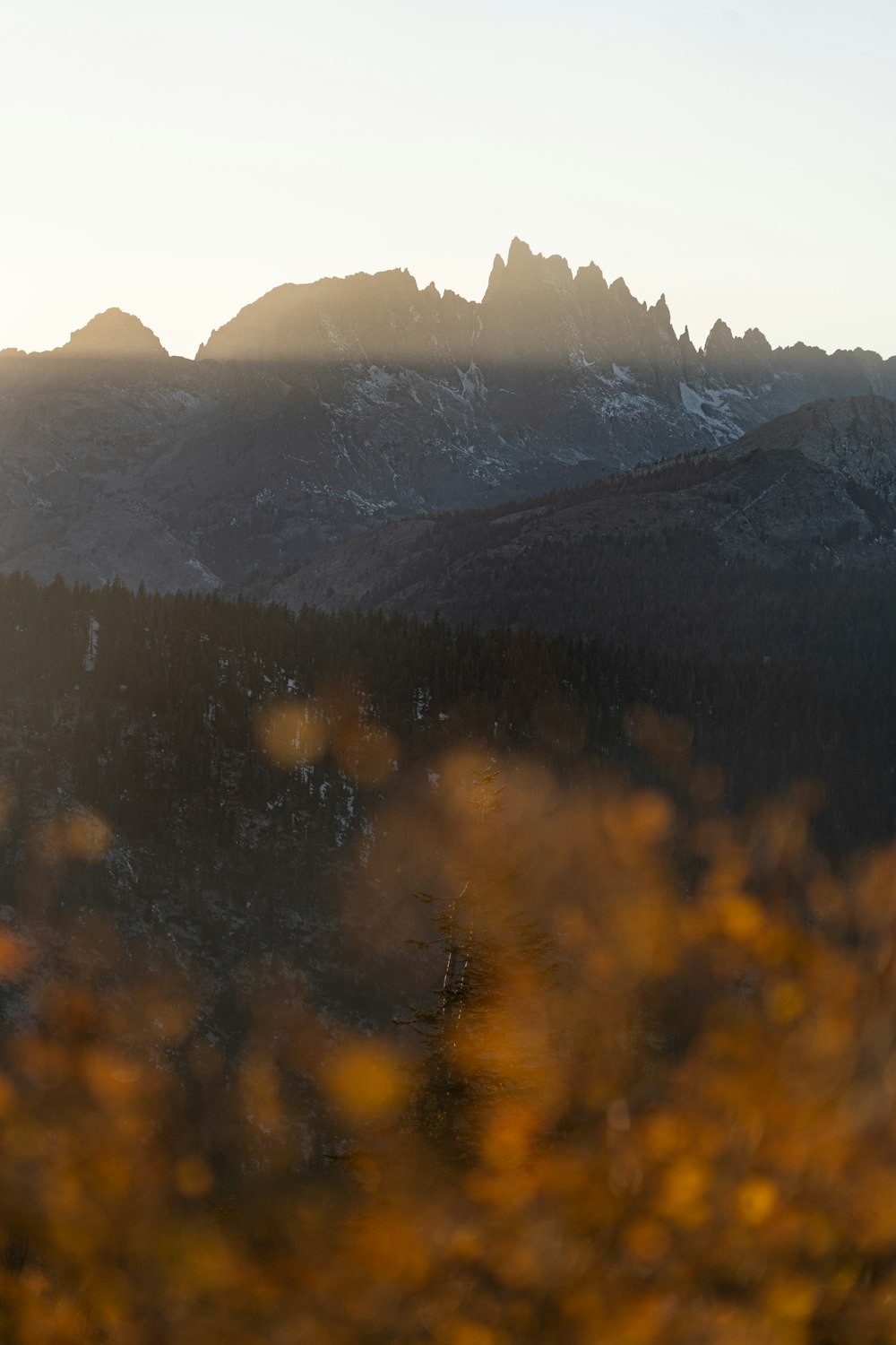 a view of a mountain range with trees in the foreground