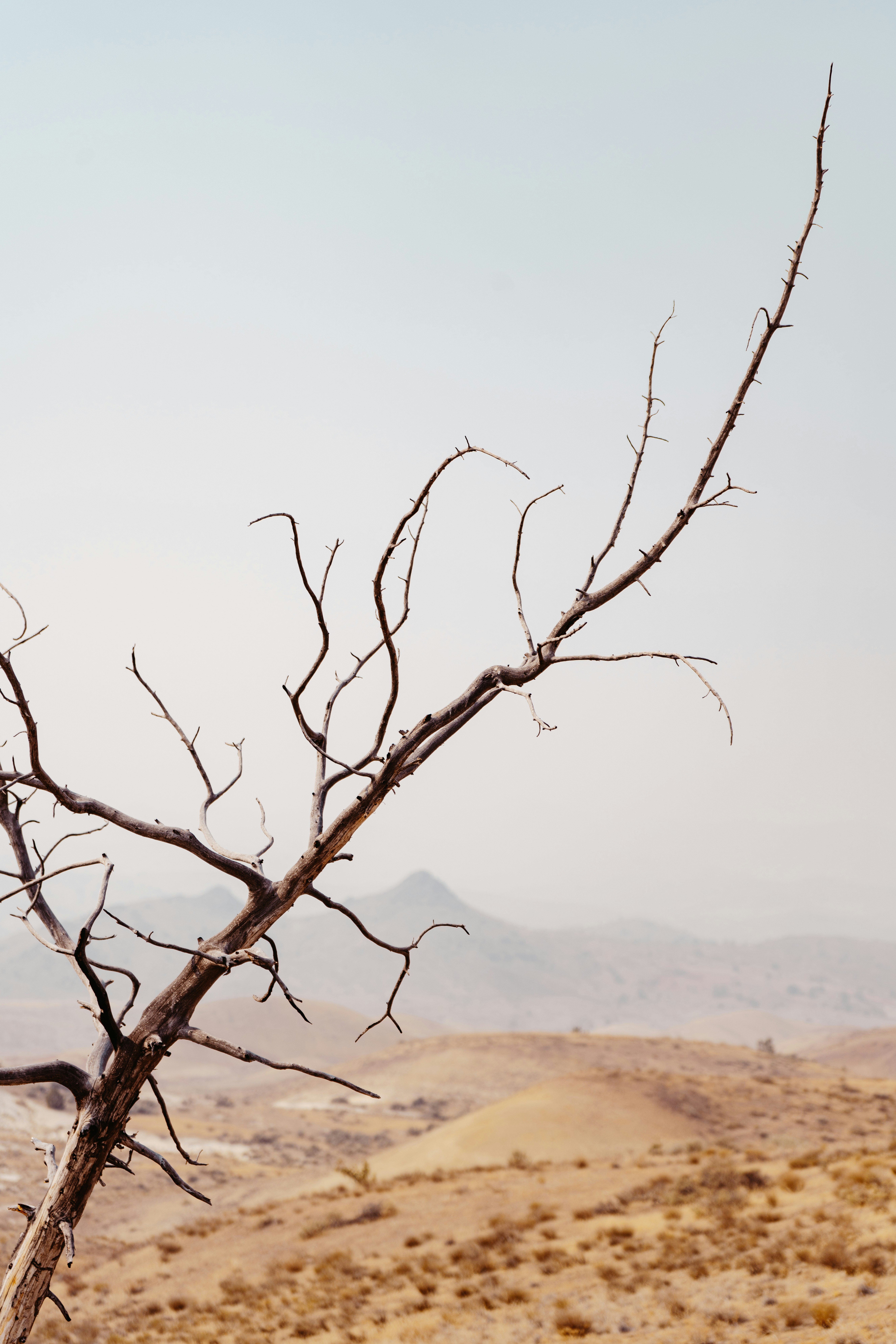 Photo by anewevisual