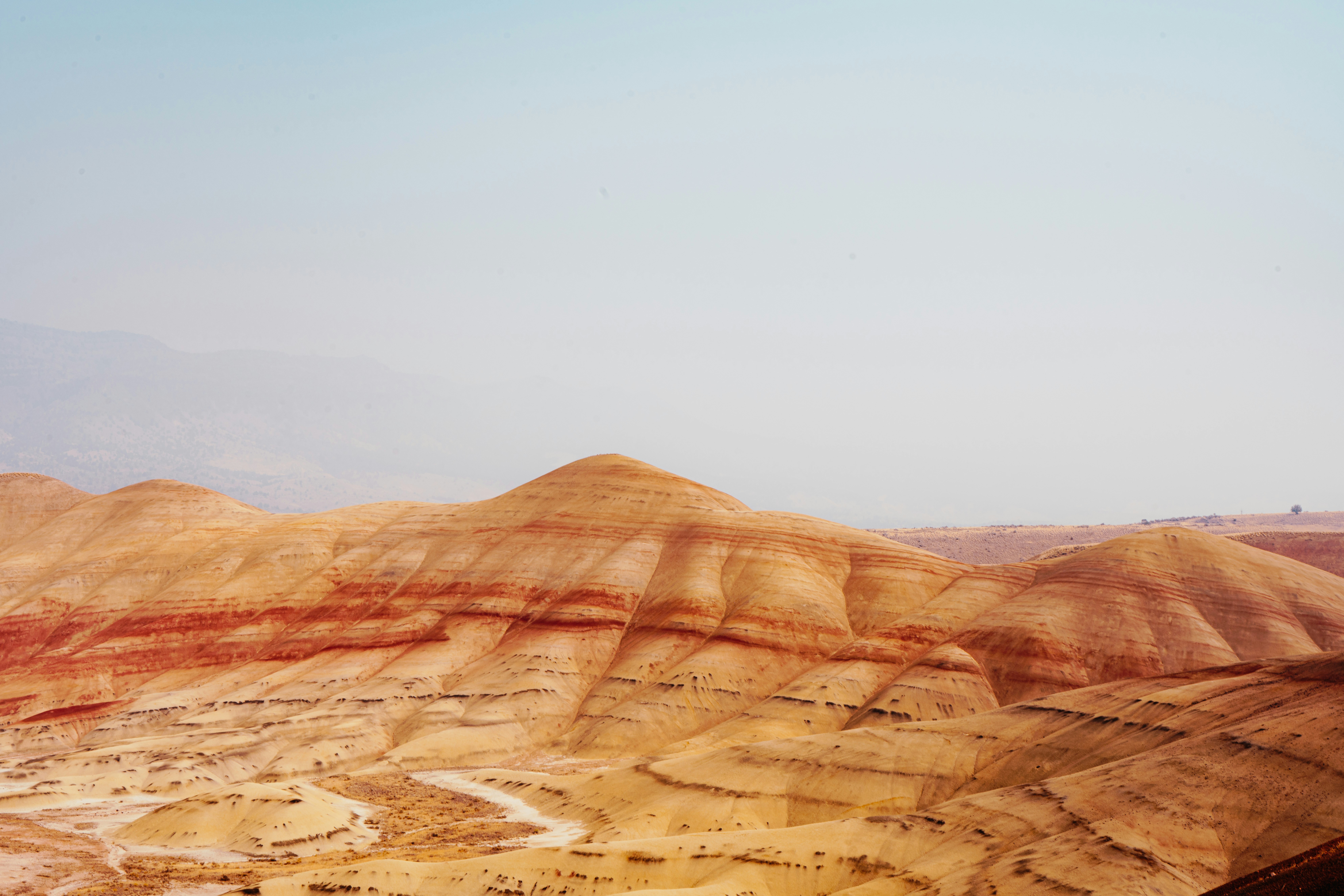 Photo by anewevisual