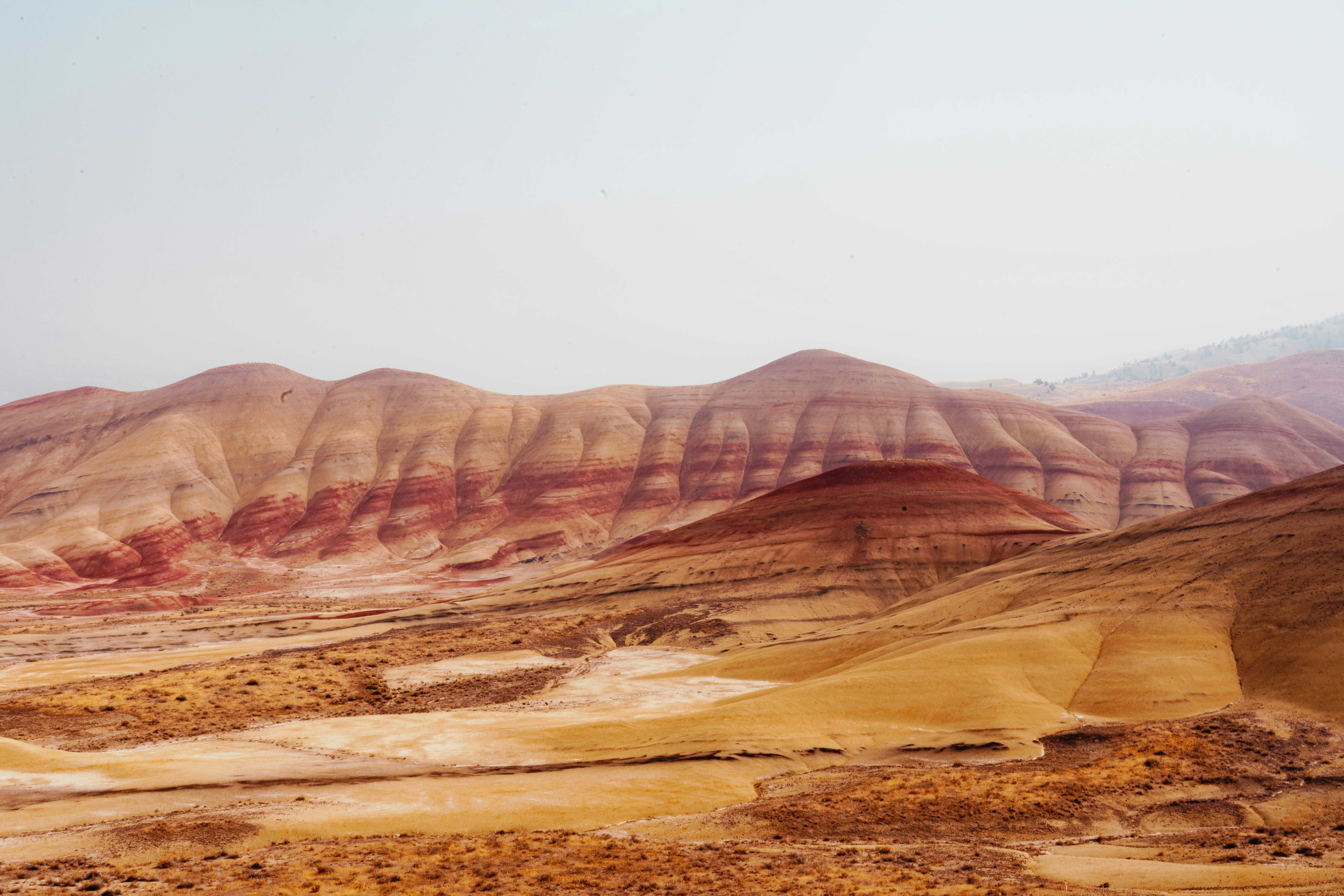 Photo by anewevisual