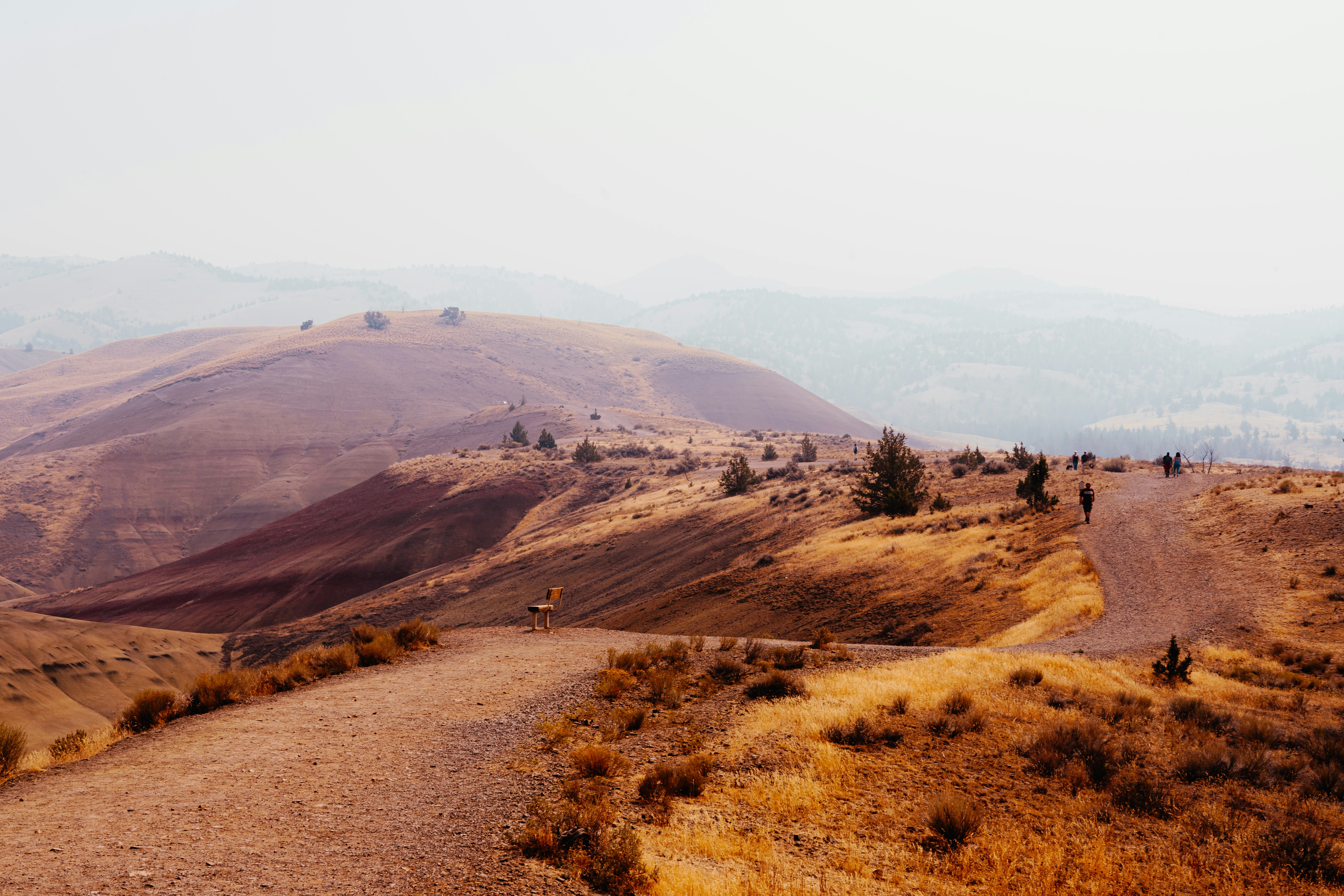 Photo by anewevisual