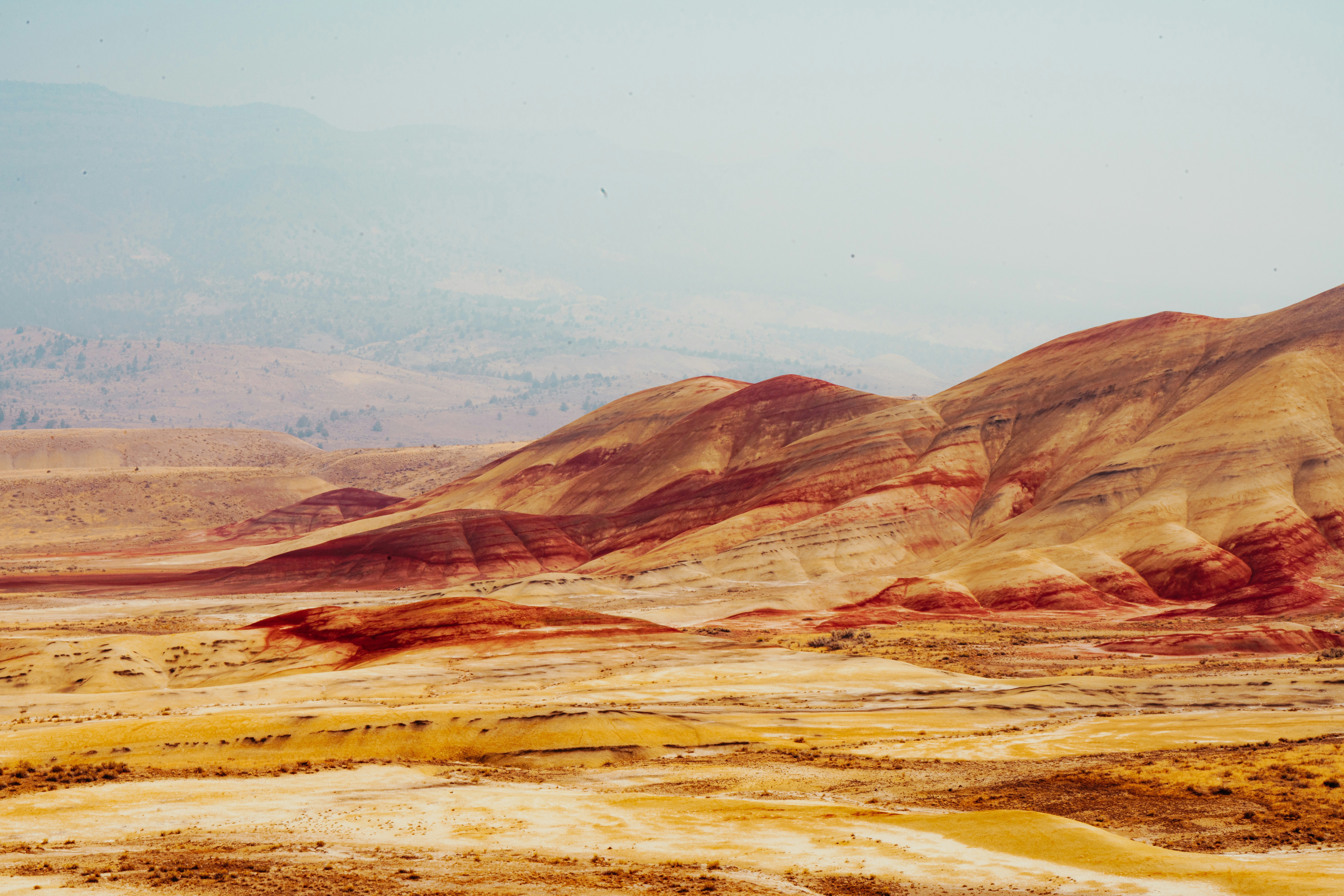 Photo by anewevisual