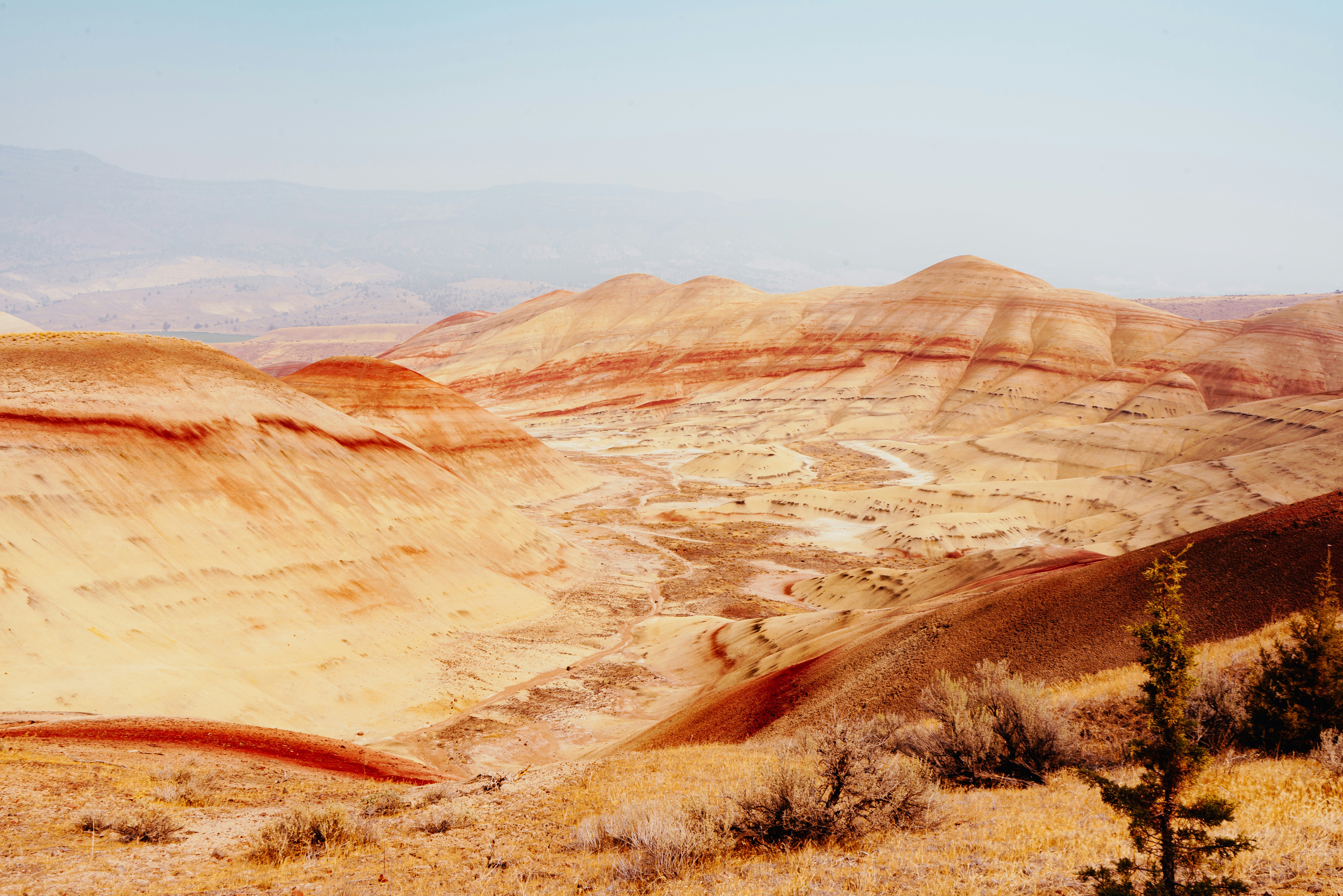 Photo by anewevisual