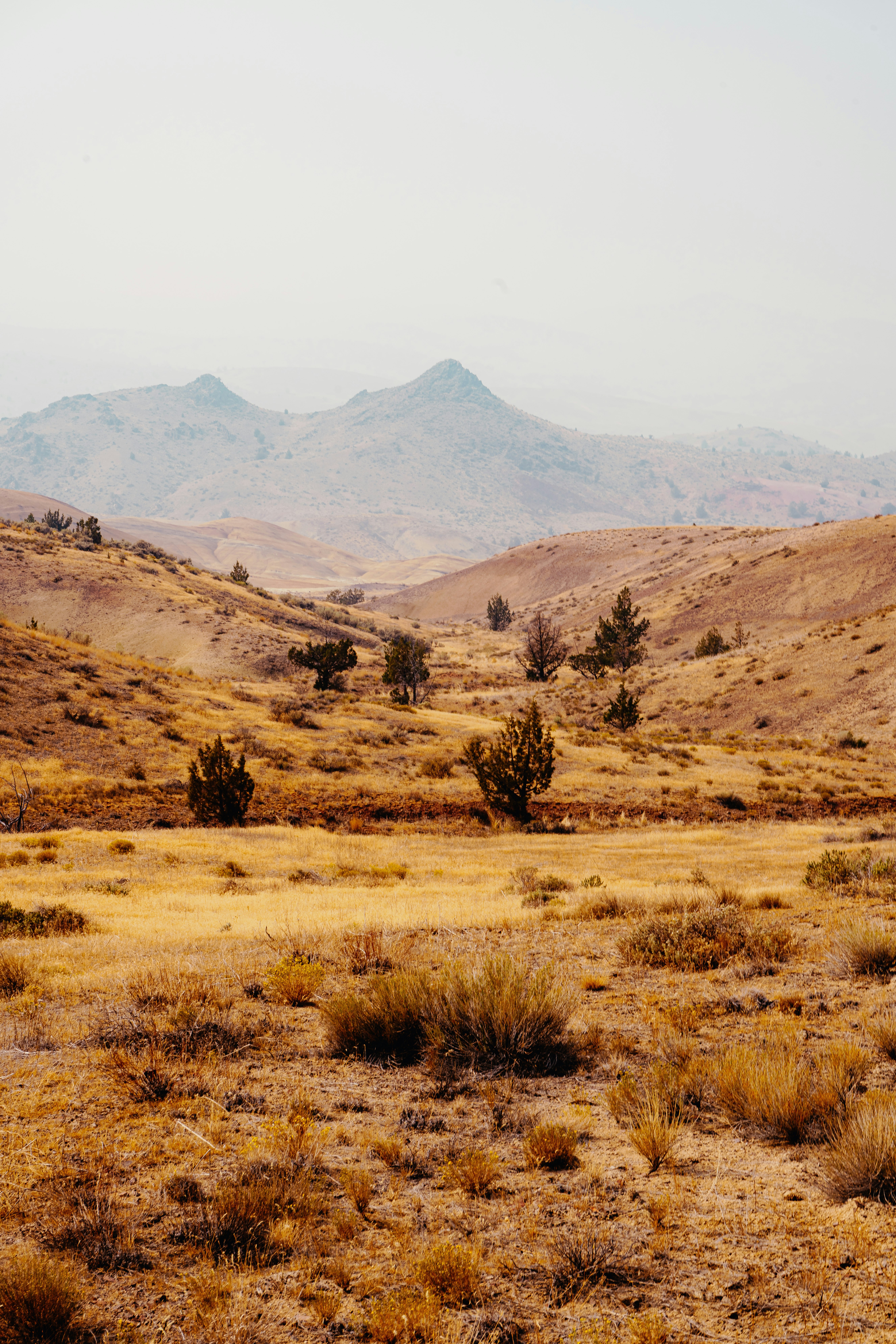 Photo by anewevisual