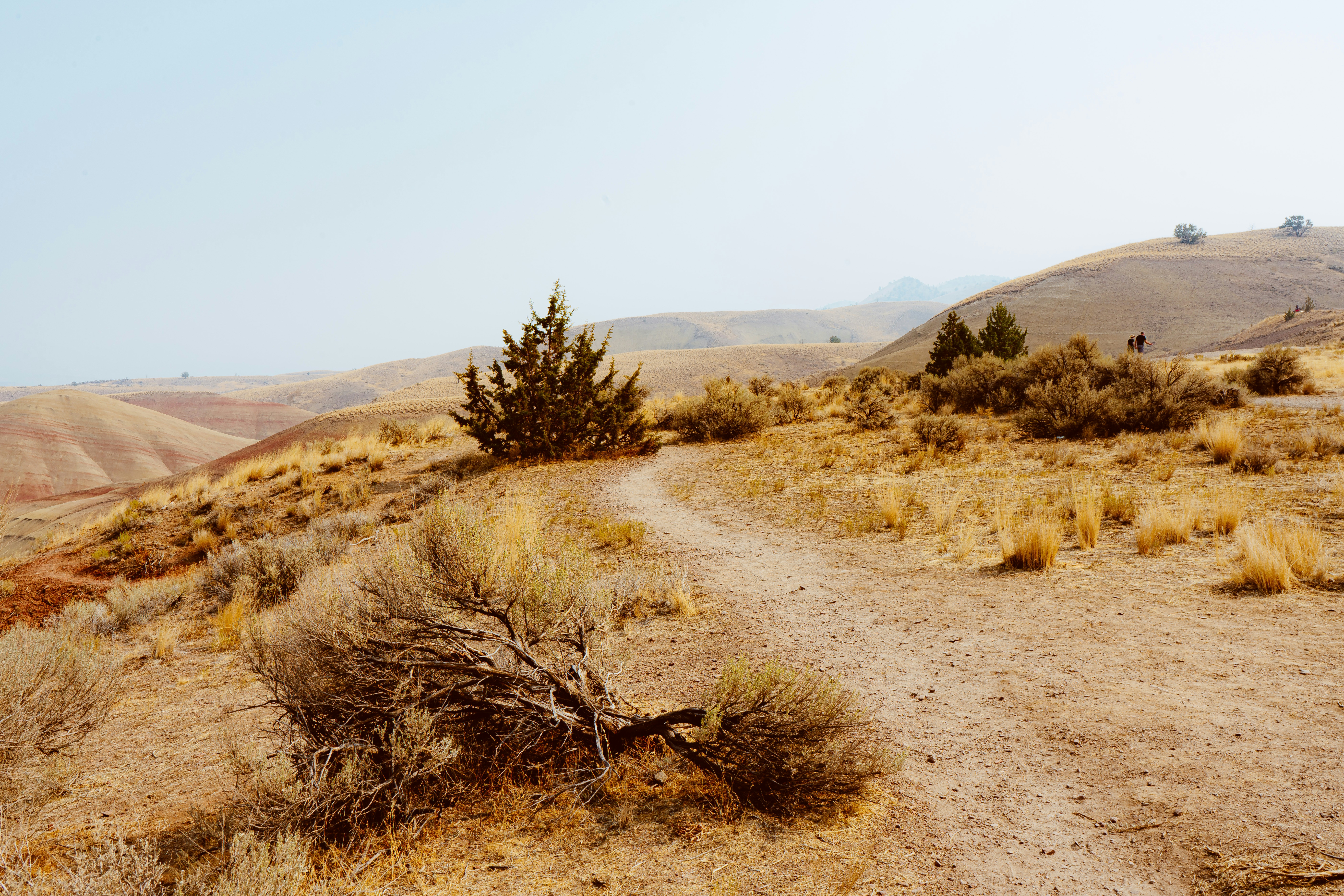 Photo by anewevisual