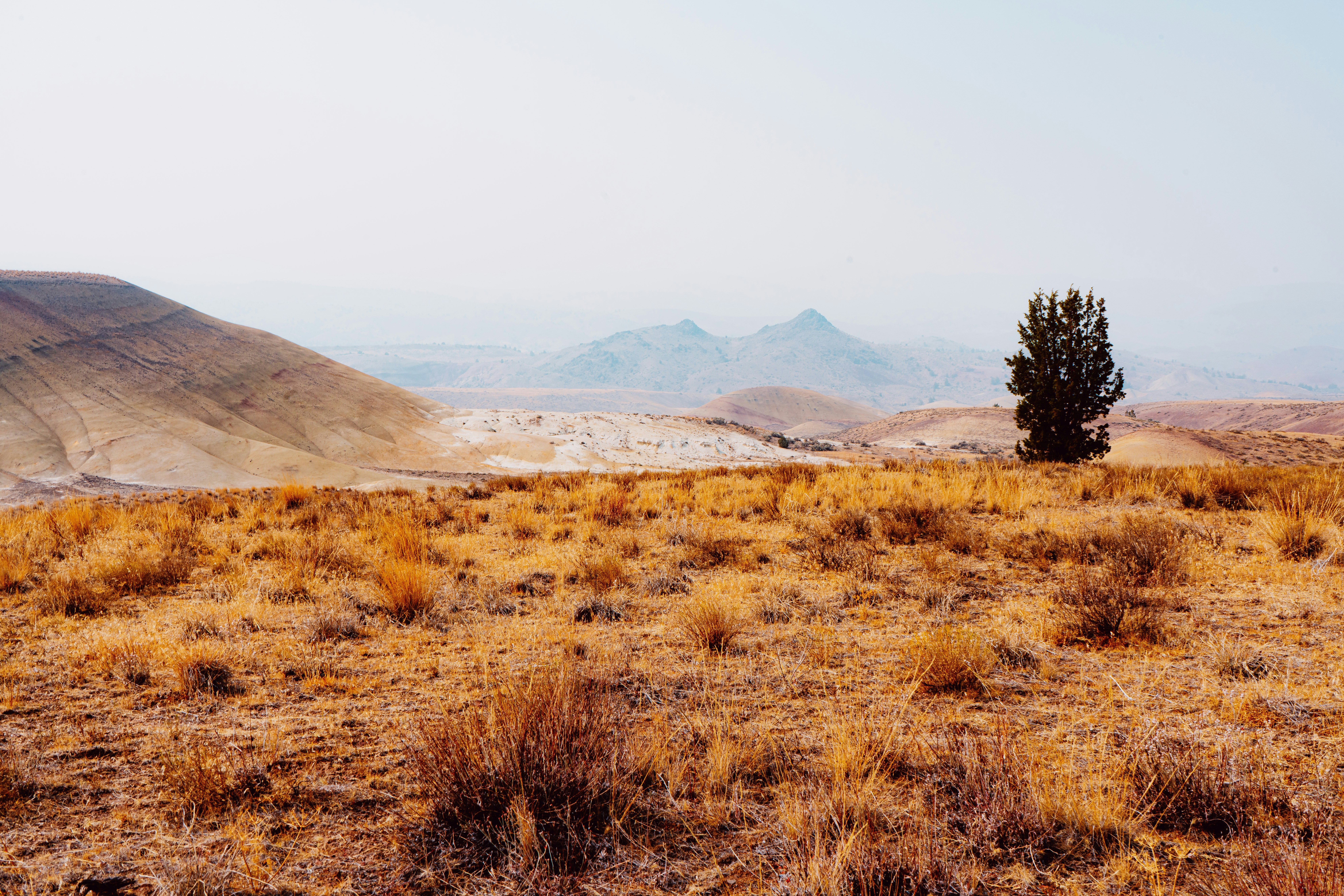 Photo by anewevisual