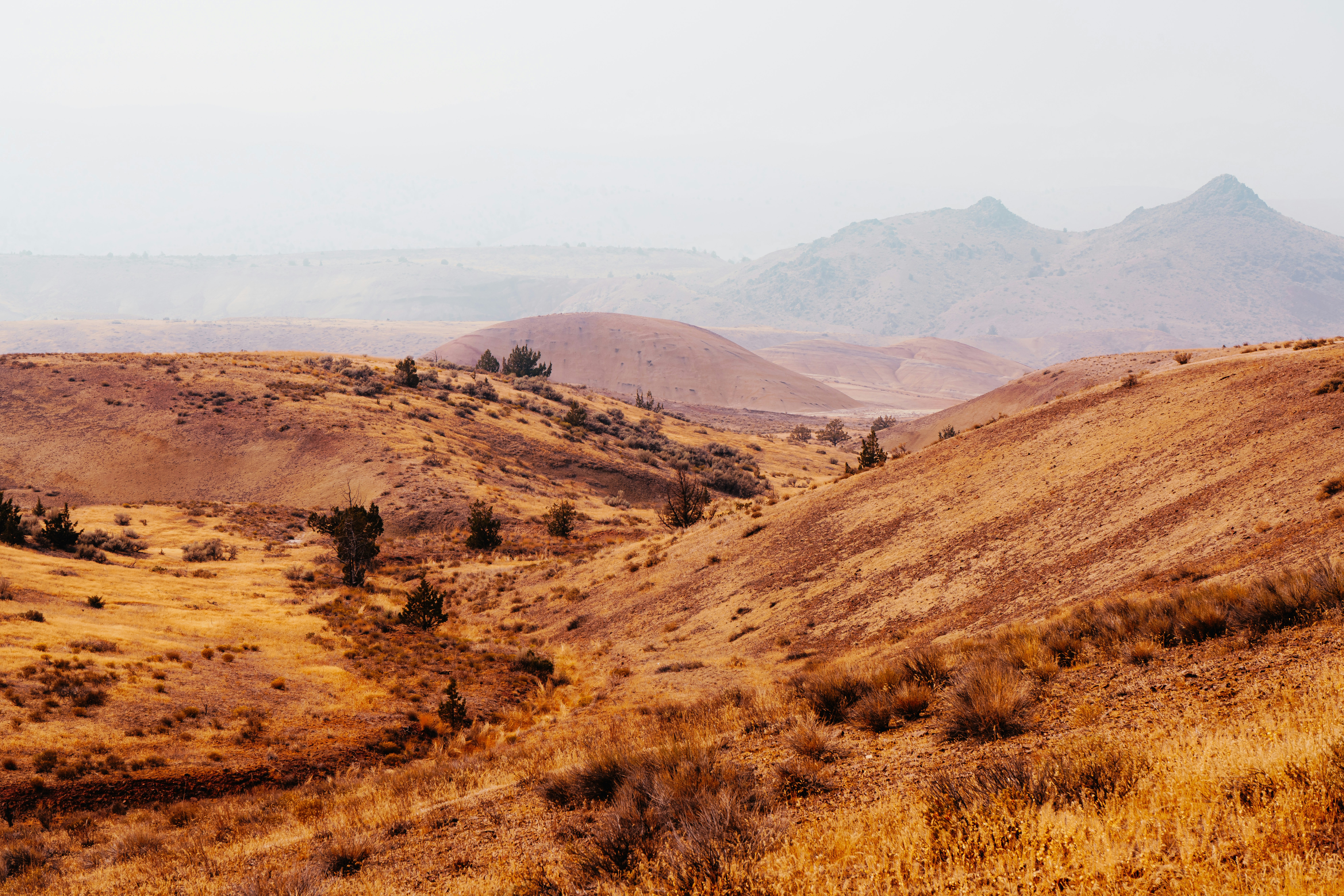 Photo by anewevisual