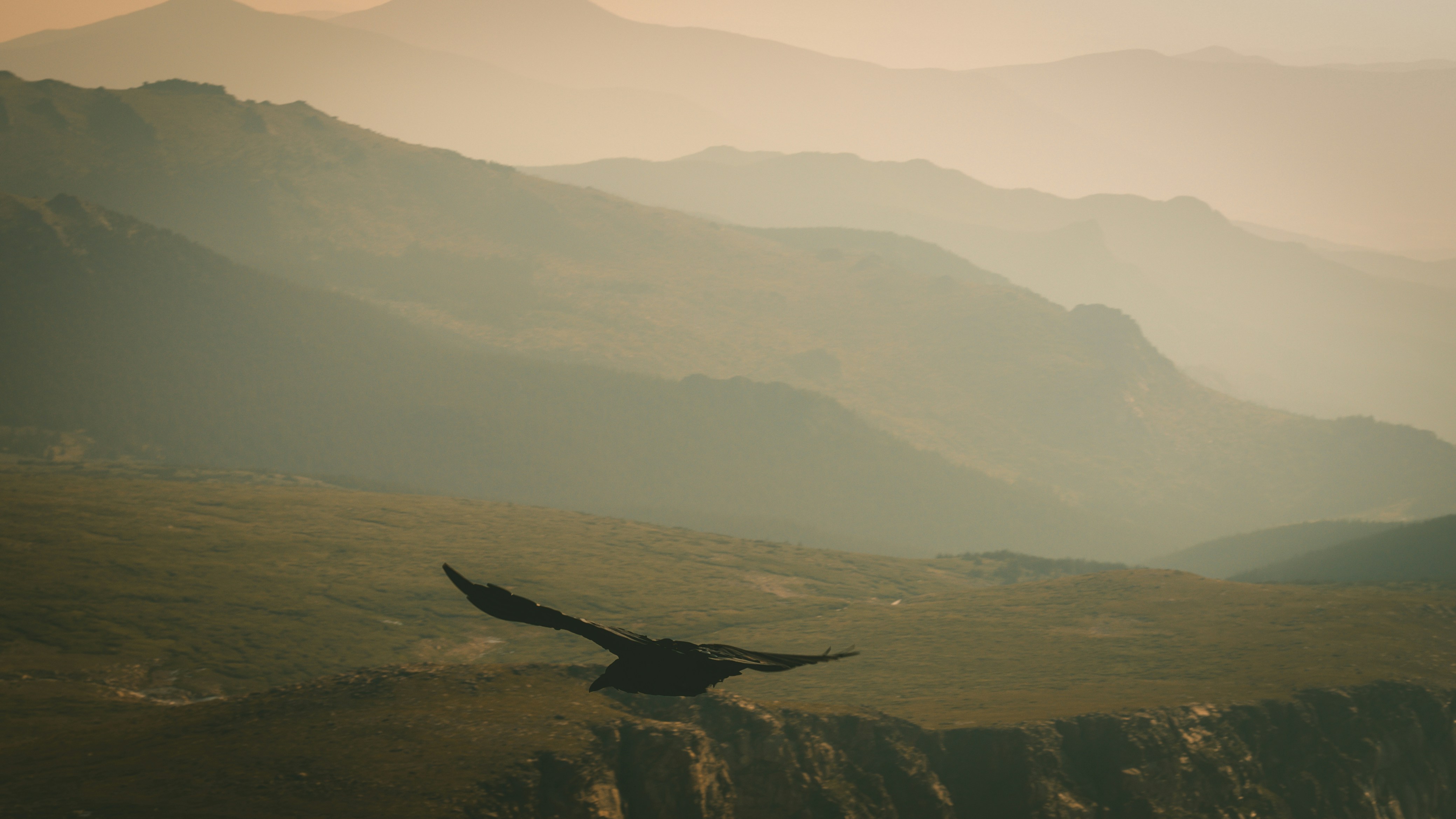 photo-1635736359491-388ad5961c2f?ixid=M3wxMjA3fDB8MXxzZWFyY2h8NHx8JUUwJUI4JUEzJUUwJUI4JUIxJUUwJUI4JTg3JUUwJUI4JTk5JUUwJUI4JTgxJUUwJUI5JTgxJUUwJUI4JUFCJUUwJUI5JTg5JUUwJUI4JTg3fGVufDB8fHx8MTc2NjA5MDQ2OXww\u0026ixlib=rb-4.1.0