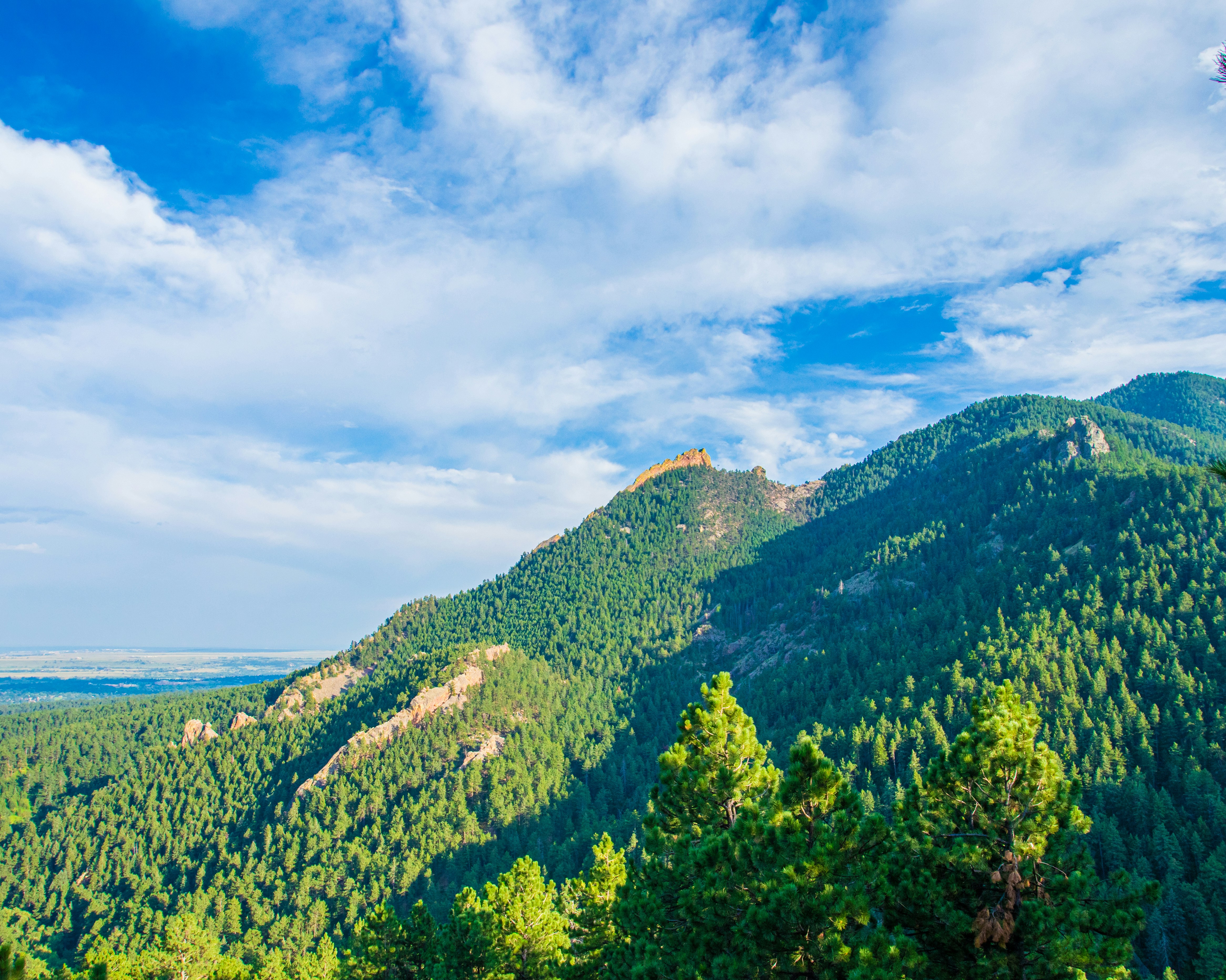 a scenic view of a mountain range with trees