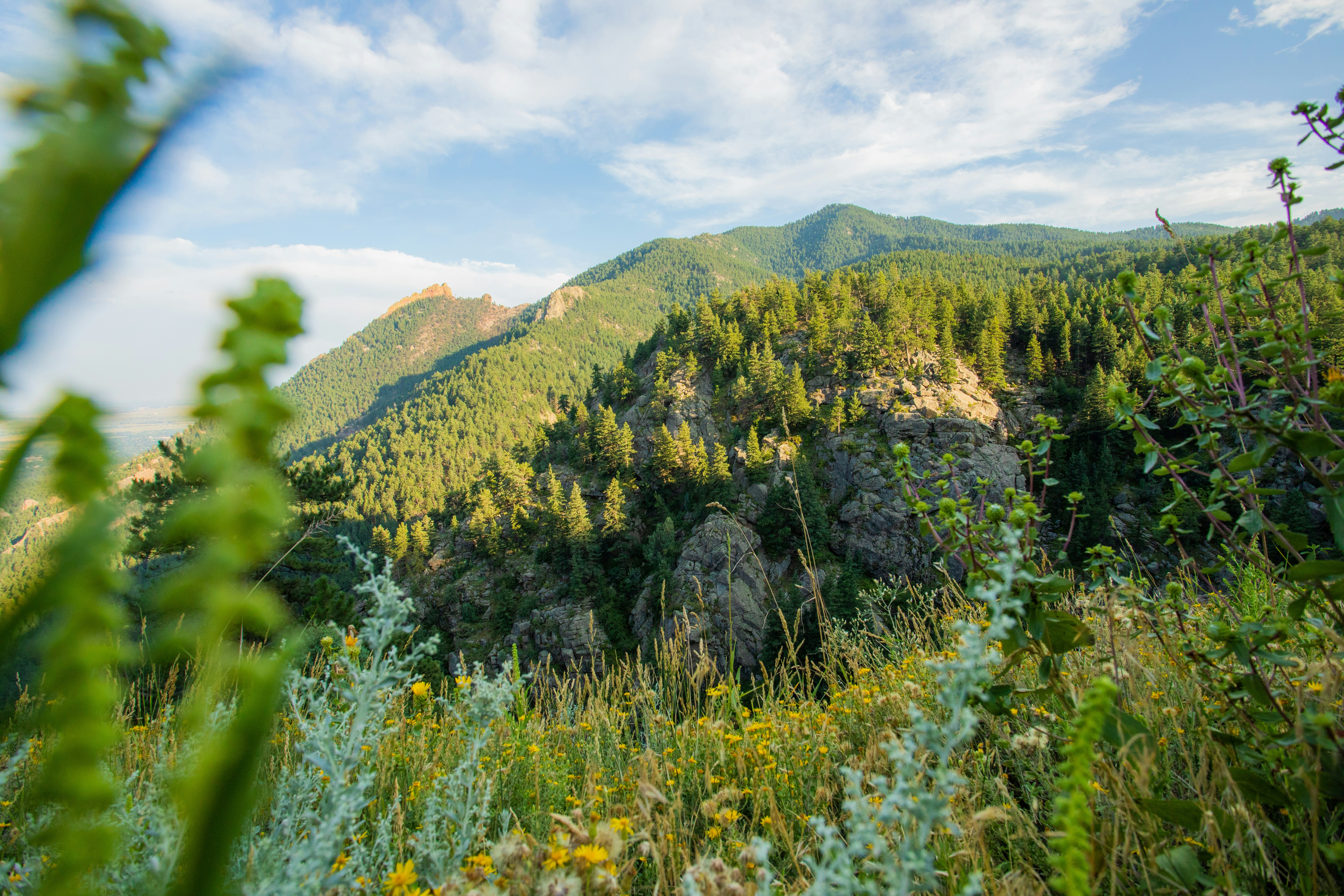 Photo by photosoflogan