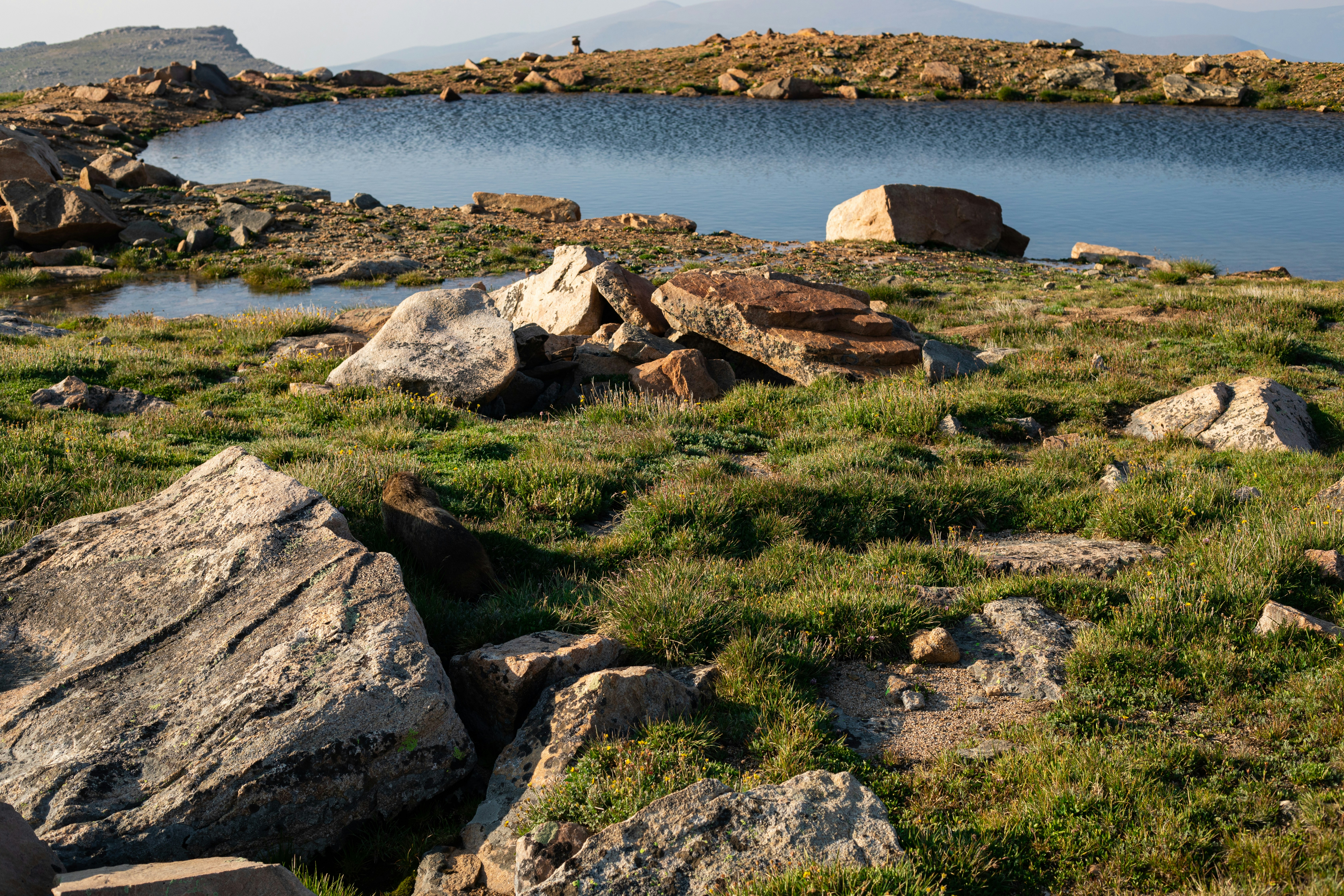 Photo by photosoflogan