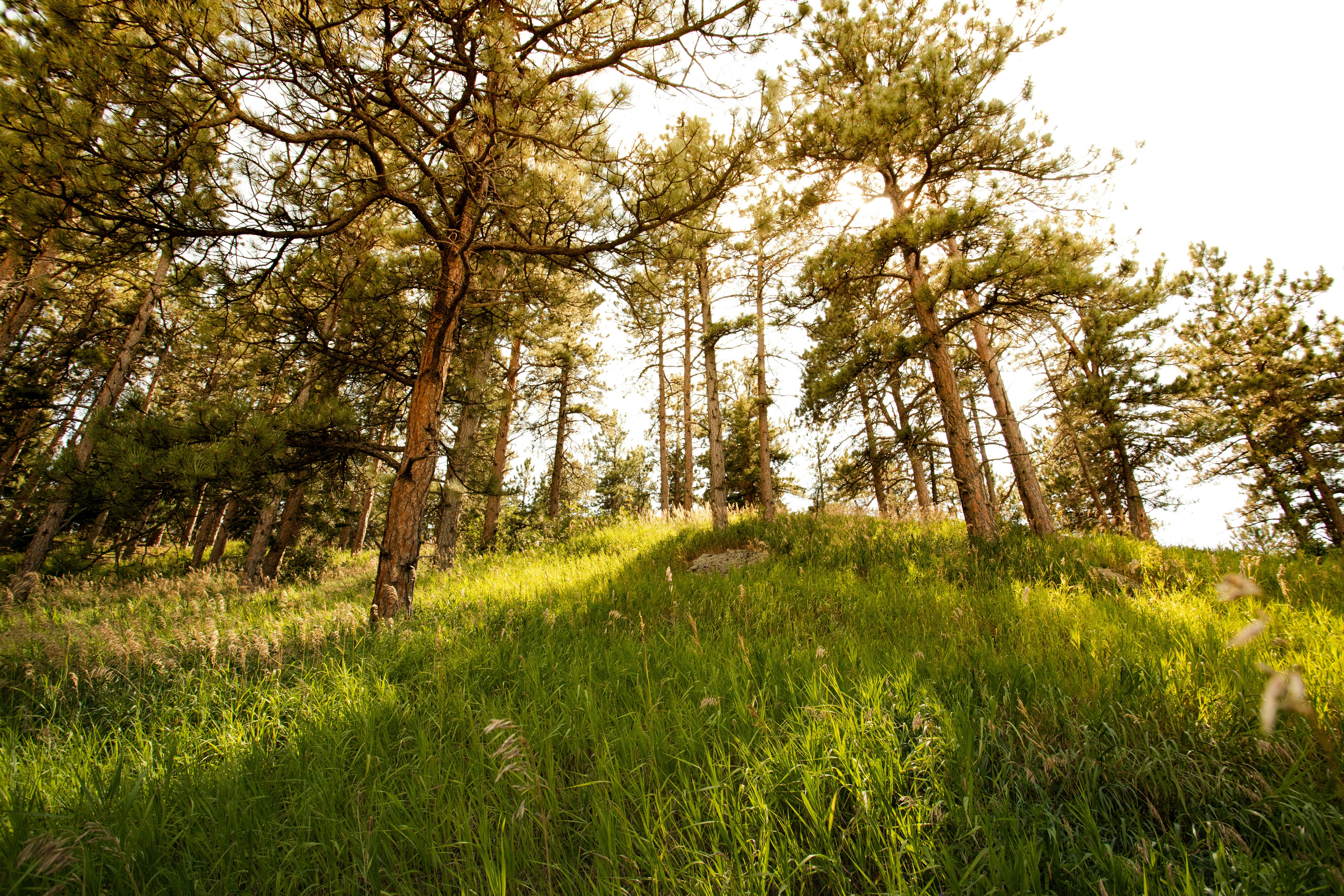 Photo by photosoflogan