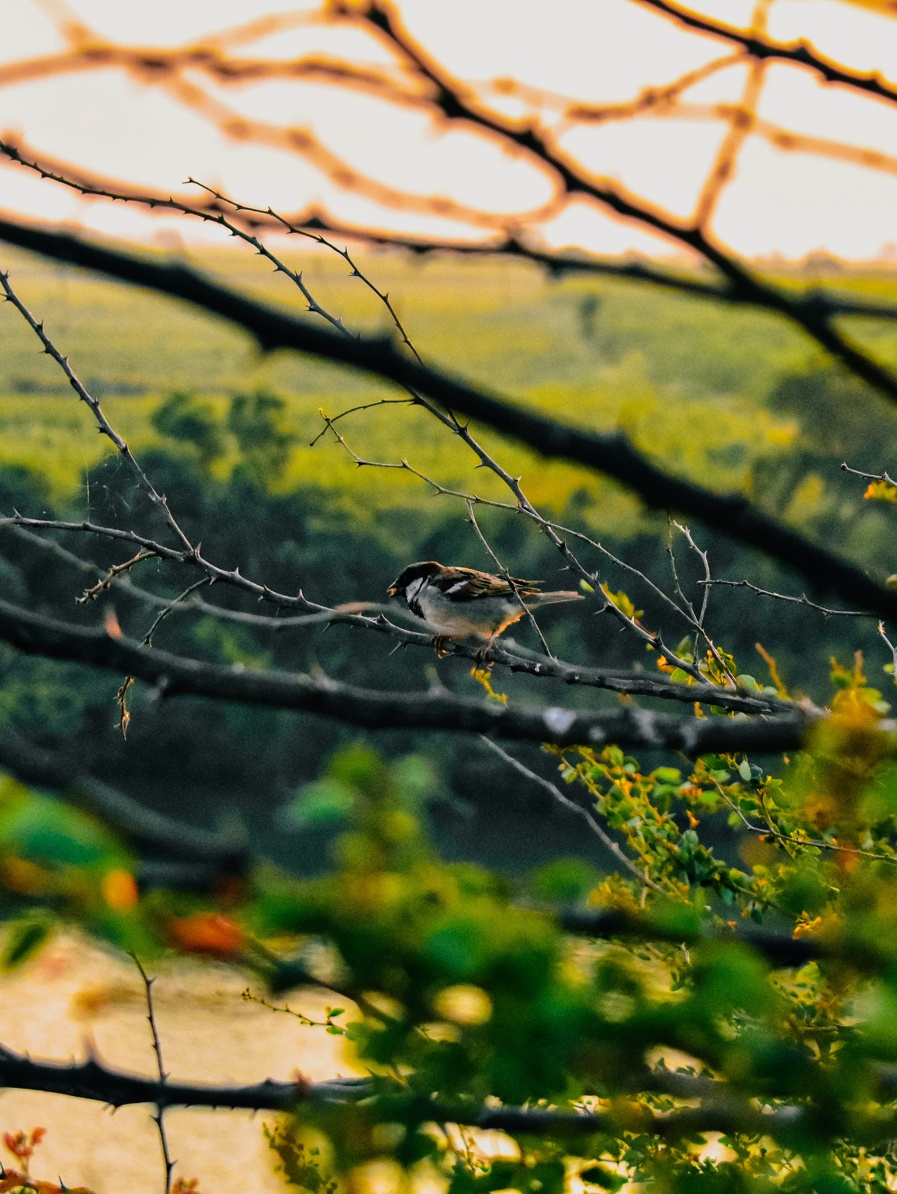 Photo by atomsmasher