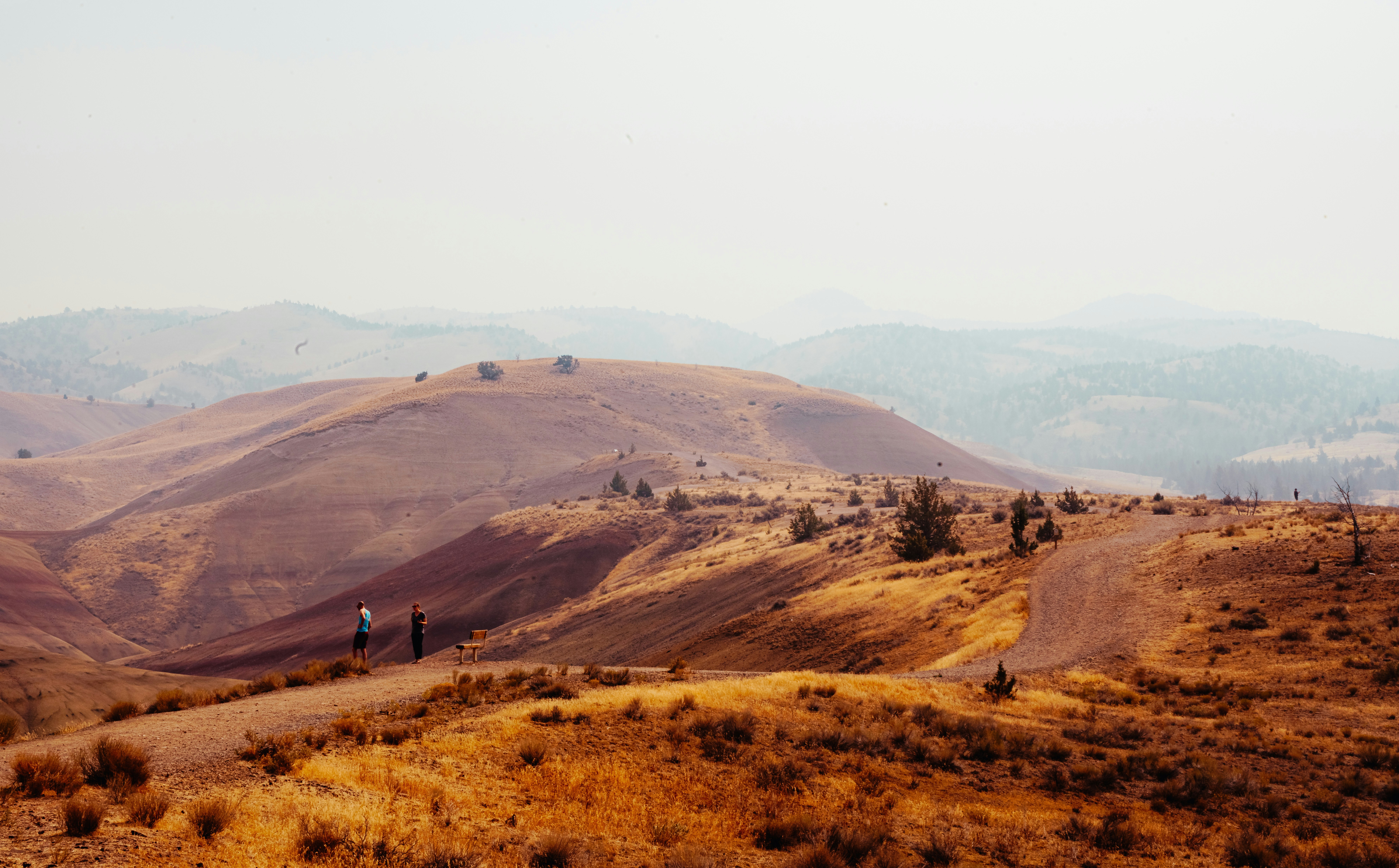 Photo by anewevisual