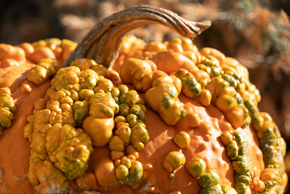 a close up of a pumpkin with yellow and green decorations
