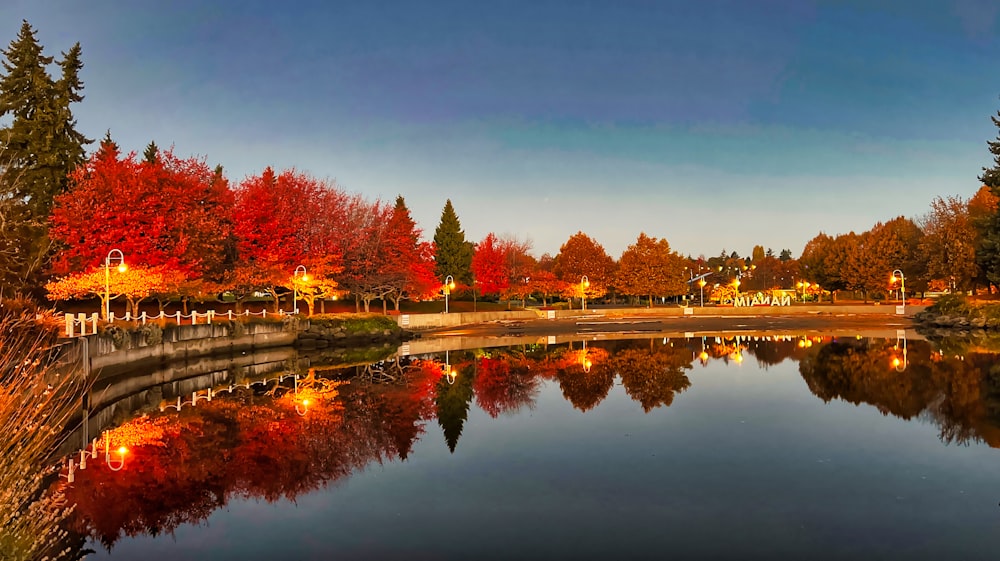 a body of water surrounded by lots of trees